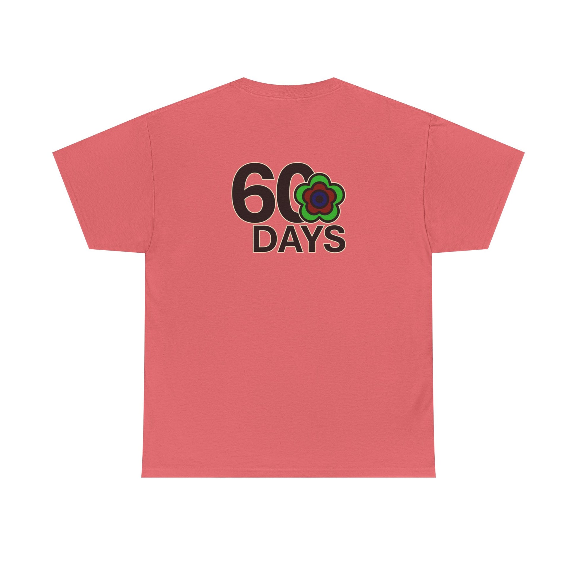 P🌺🌺P2Poppies 60 Days Sober – Motivational Recovery T-Shirt