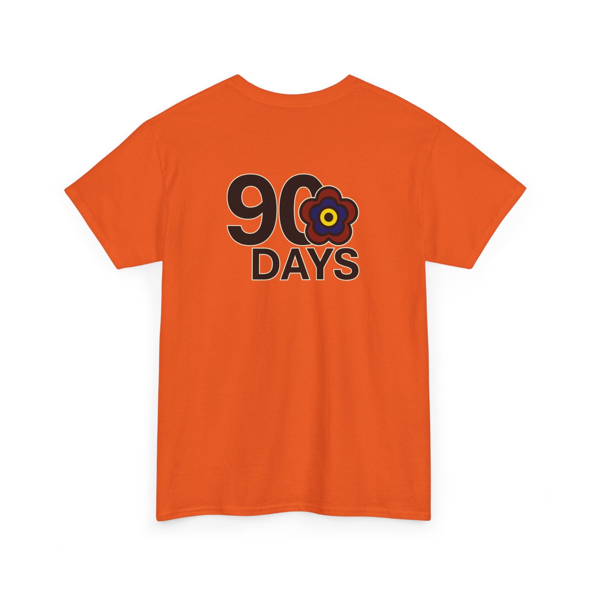 P🌺🌺P2Poppies 90 Days Sober – Motivational Recovery T-Shirt