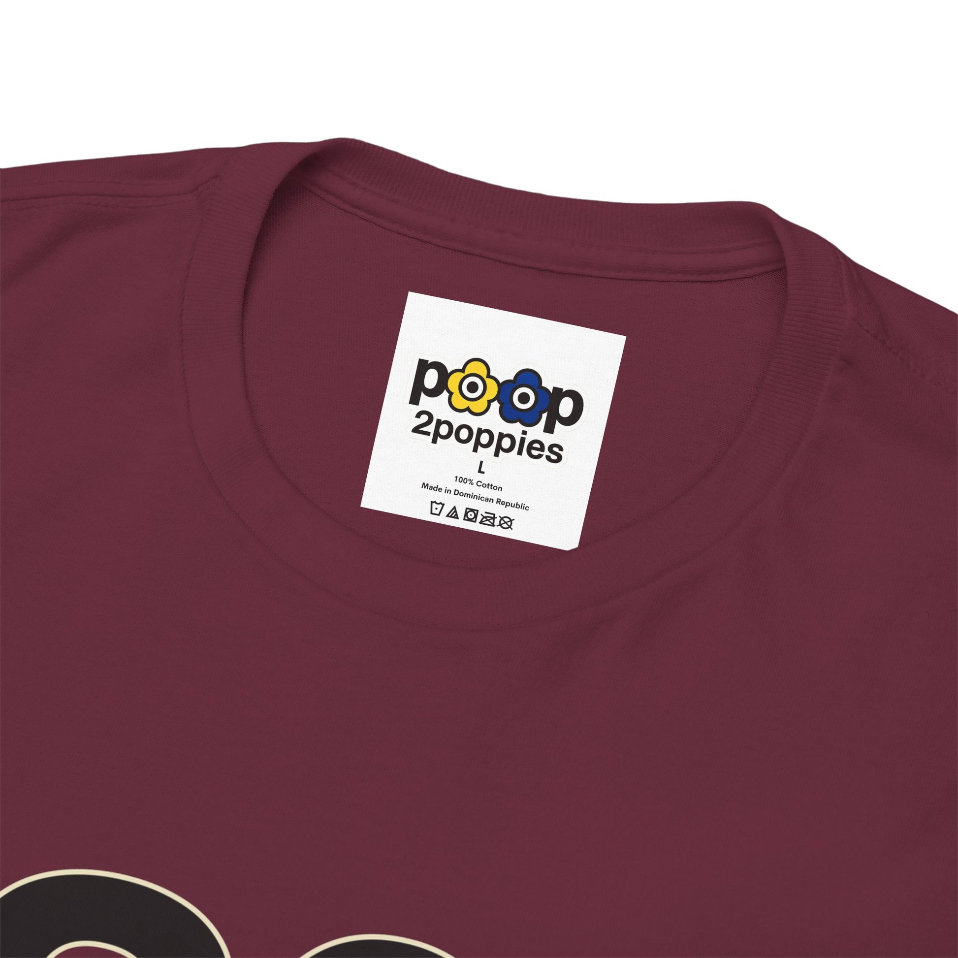 P🌺🌺P2Poppies 30 Days Sober – Motivational Recovery T-Shirt