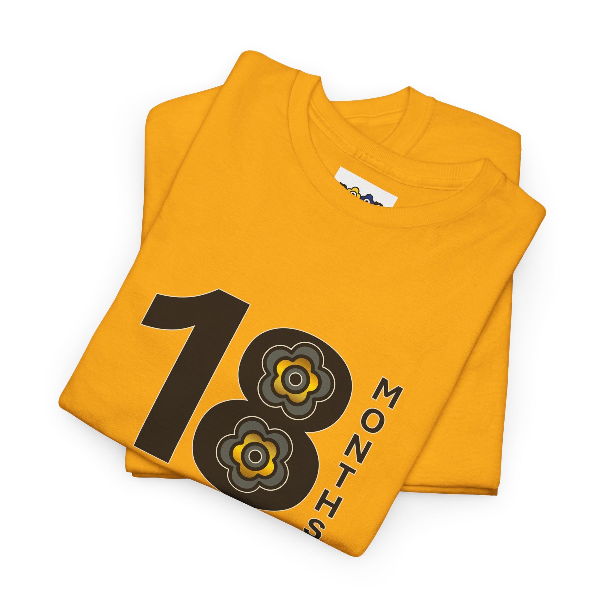 P🌺🌺P2Poppies 18 Months Sober – Motivational Recovery T-Shirt