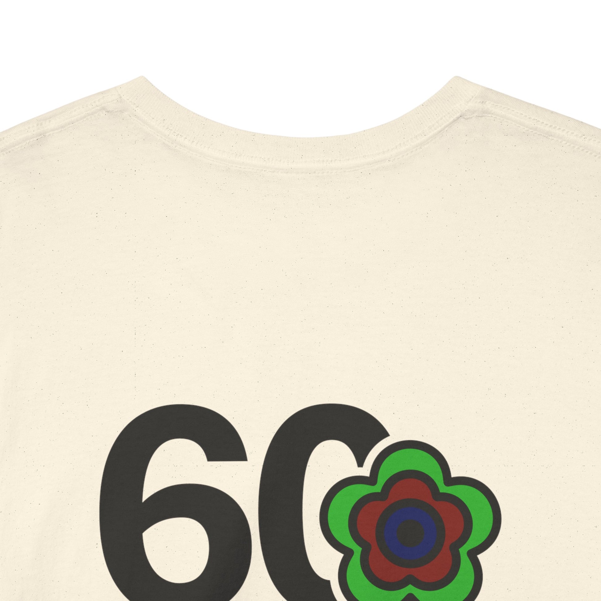 P🌺🌺P2Poppies 60 Days Sober – Motivational Recovery T-Shirt