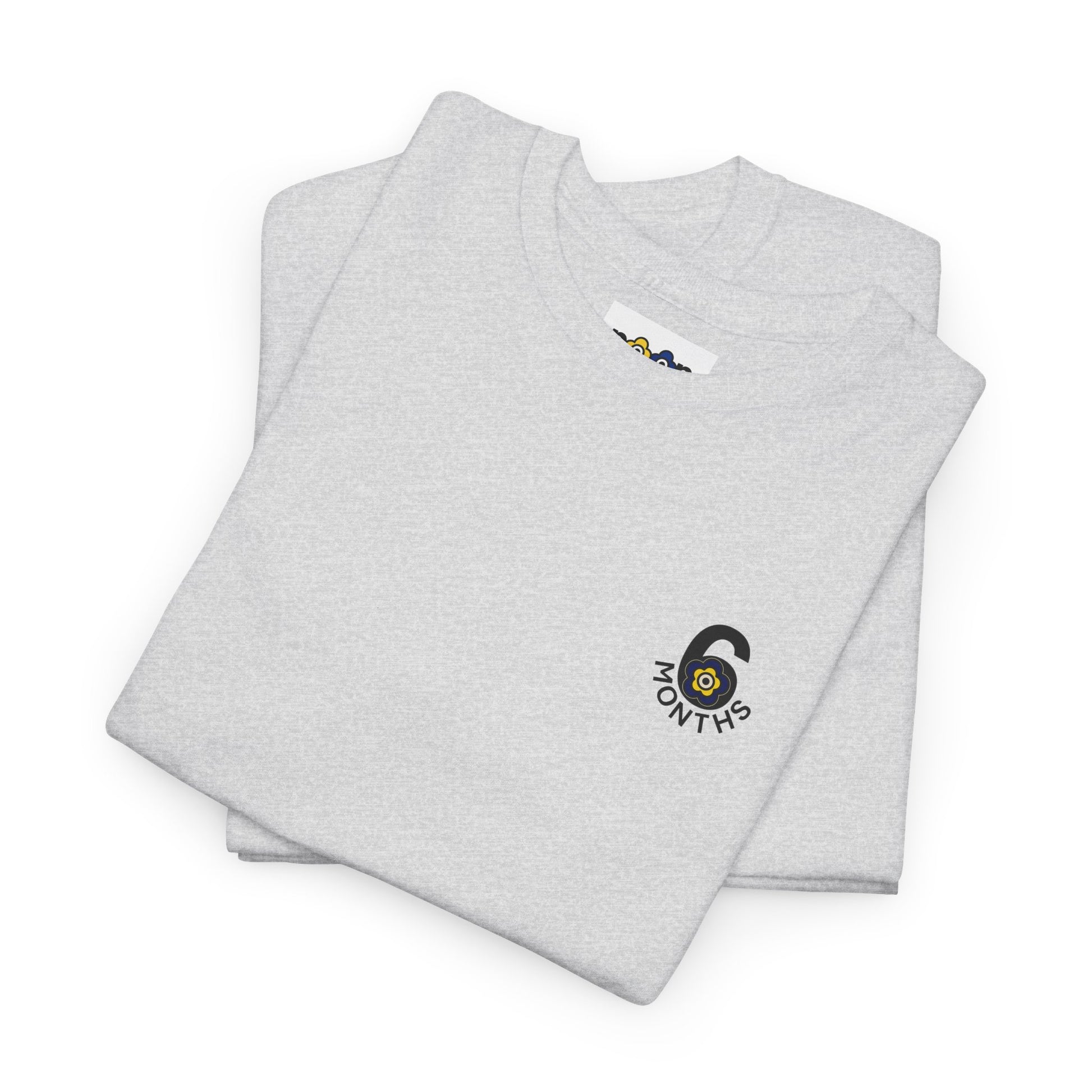 P🌺🌺P2Poppies 6 Months Sober – Motivational Recovery T-Shirt