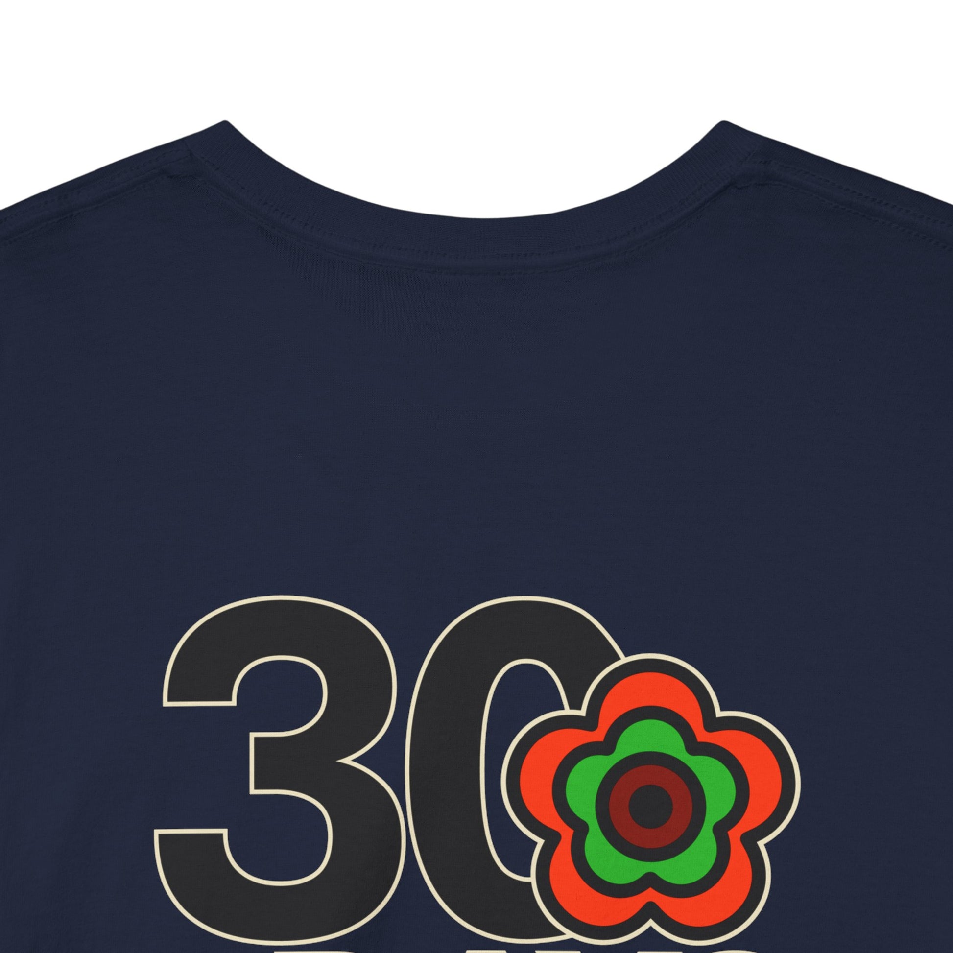 P🌺🌺P2Poppies 30 Days Sober – Motivational Recovery T-Shirt