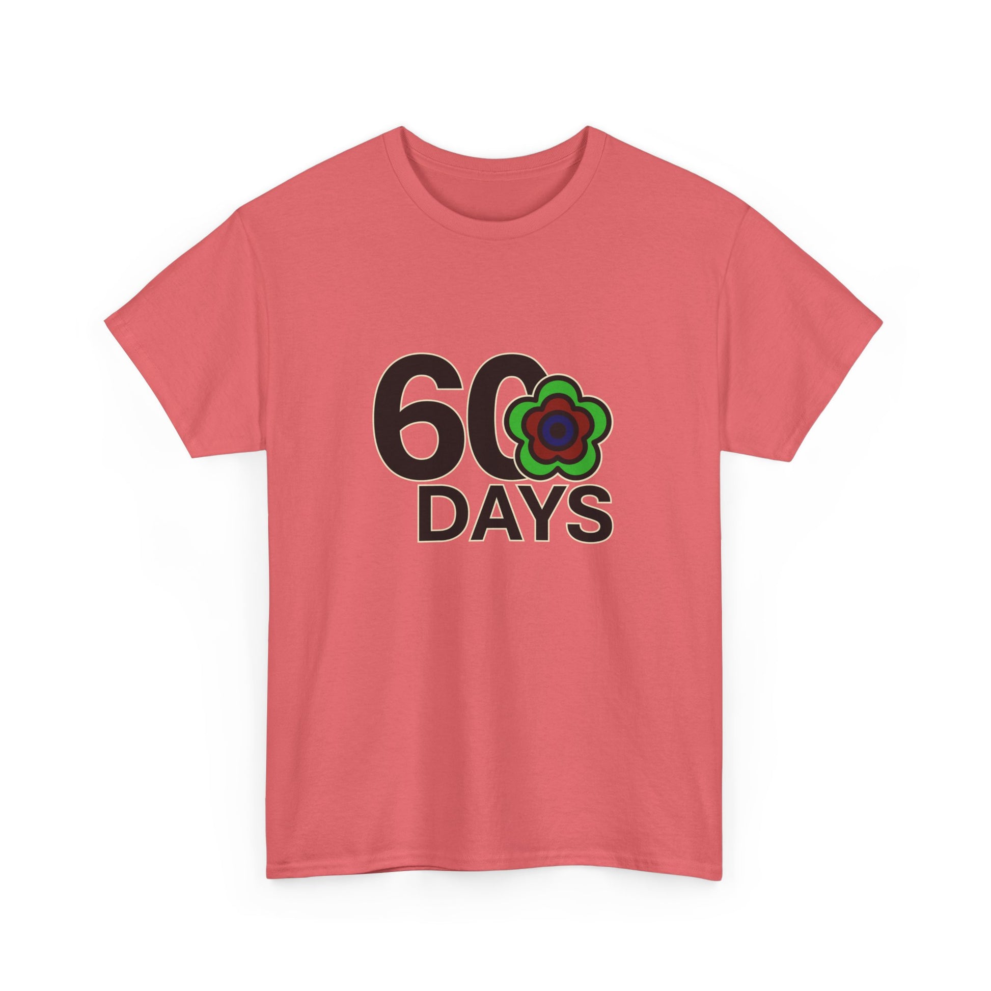 P🌺🌺P2Poppies 60 Days Sober – Motivational Recovery T-Shirt