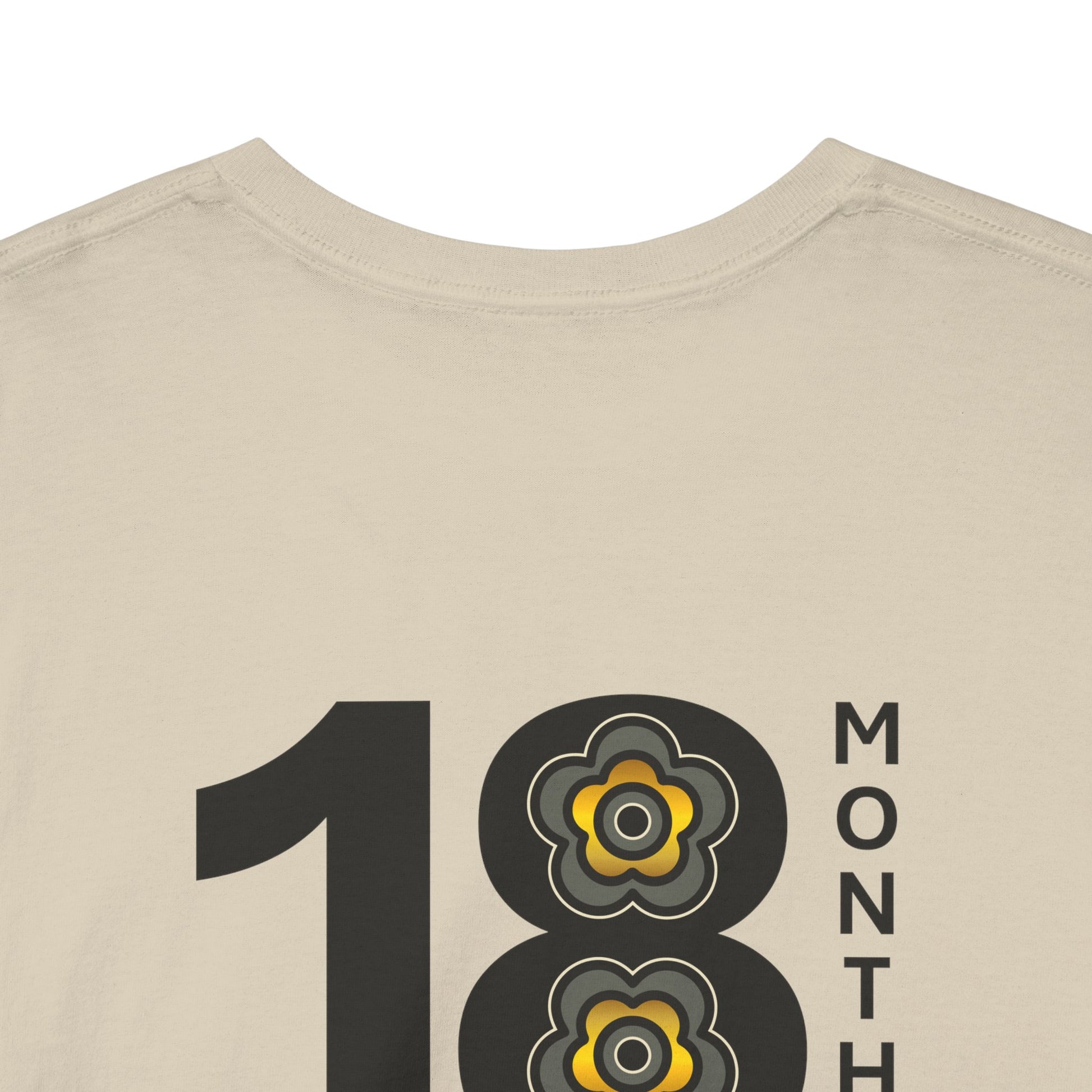 P🌺🌺P2Poppies 18 Months Sober – Motivational Recovery T-Shirt