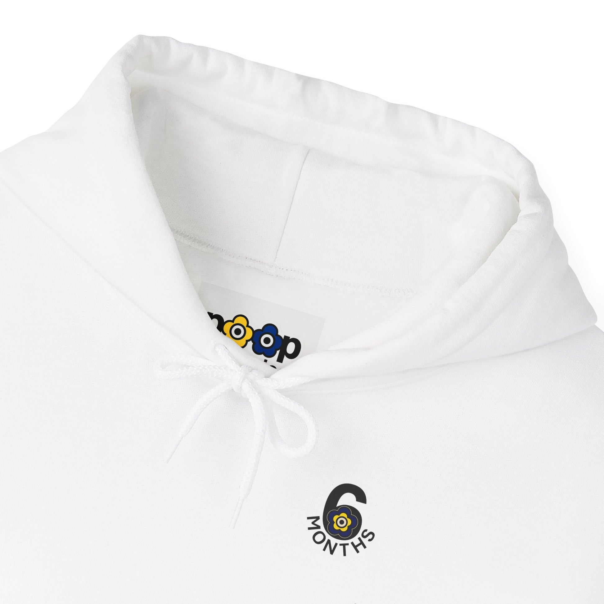 P🌺🌺P2Poppies 6 Months Sober Hoodie – Recovery Milestone Sweatshirt