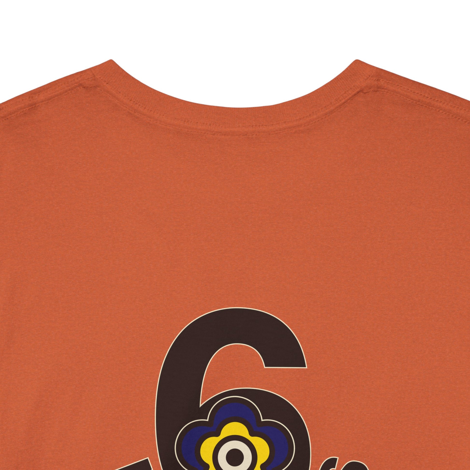 P🌺🌺P2Poppies 6 Months Sober – Motivational Recovery T-Shirt