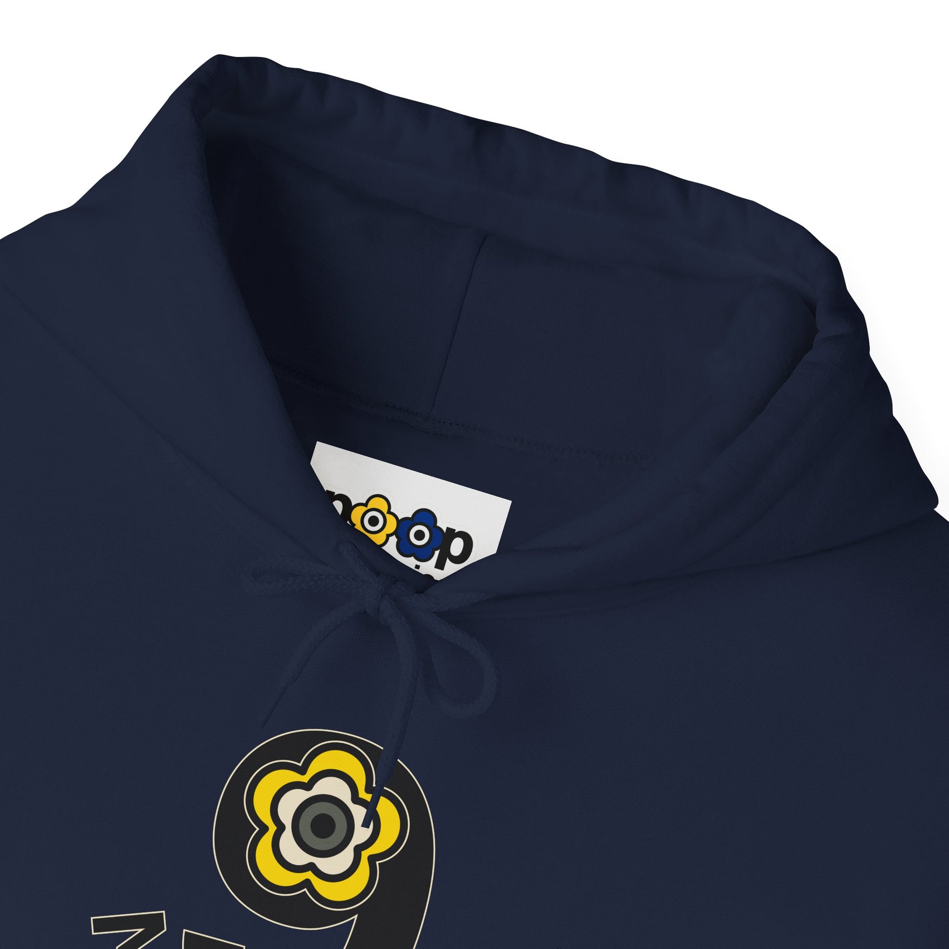 P🌺🌺P2Poppies 9 Months Sober Hoodie – Recovery Milestone Sweatshirt