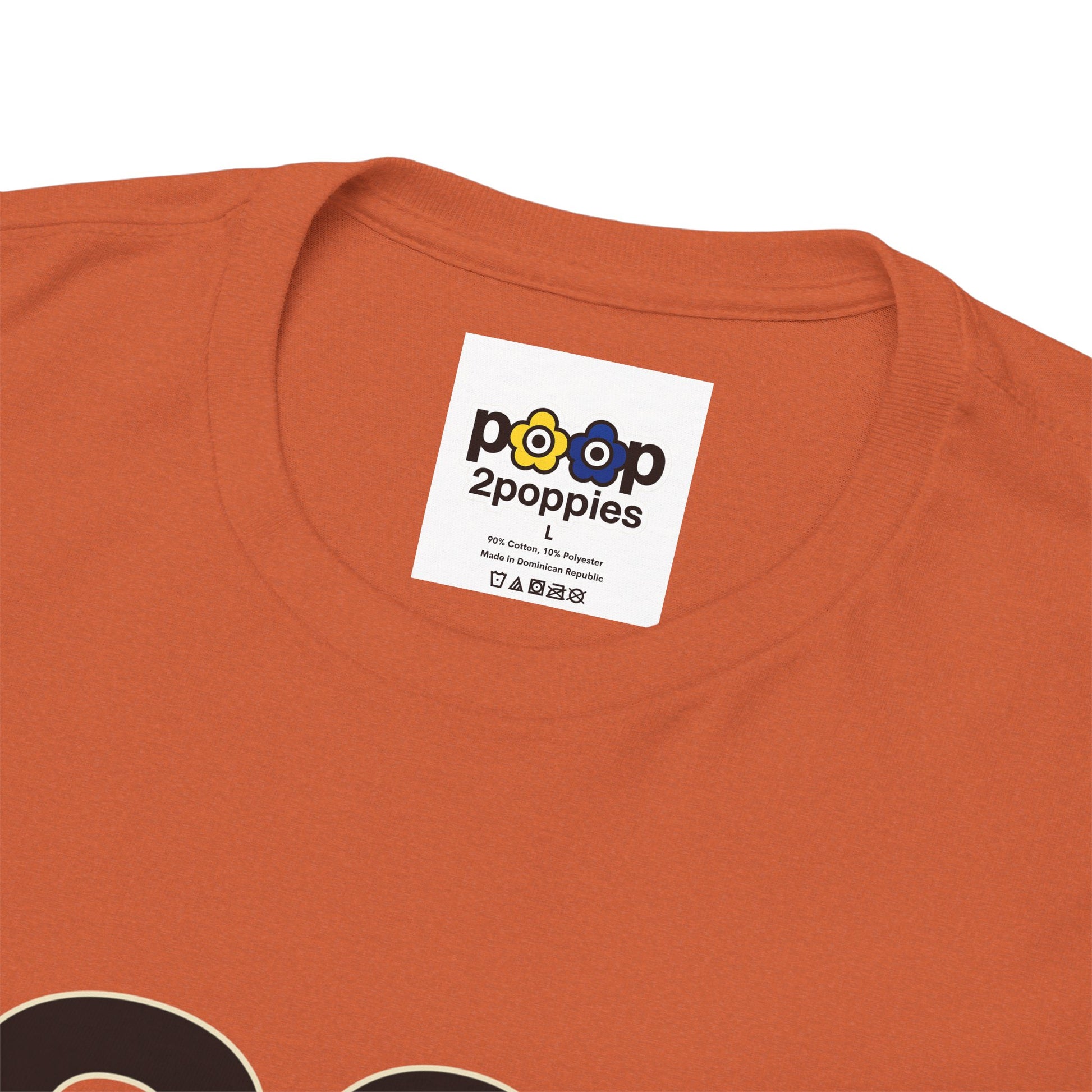 P🌺🌺P2Poppies 30 Days Sober – Motivational Recovery T-Shirt