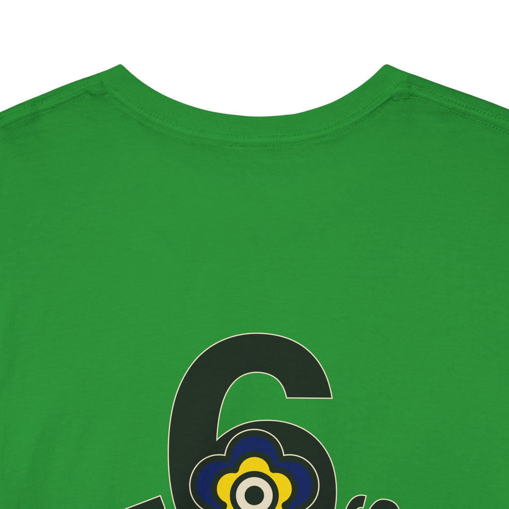 P🌺🌺P2Poppies 6 Months Sober – Motivational Recovery T-Shirt