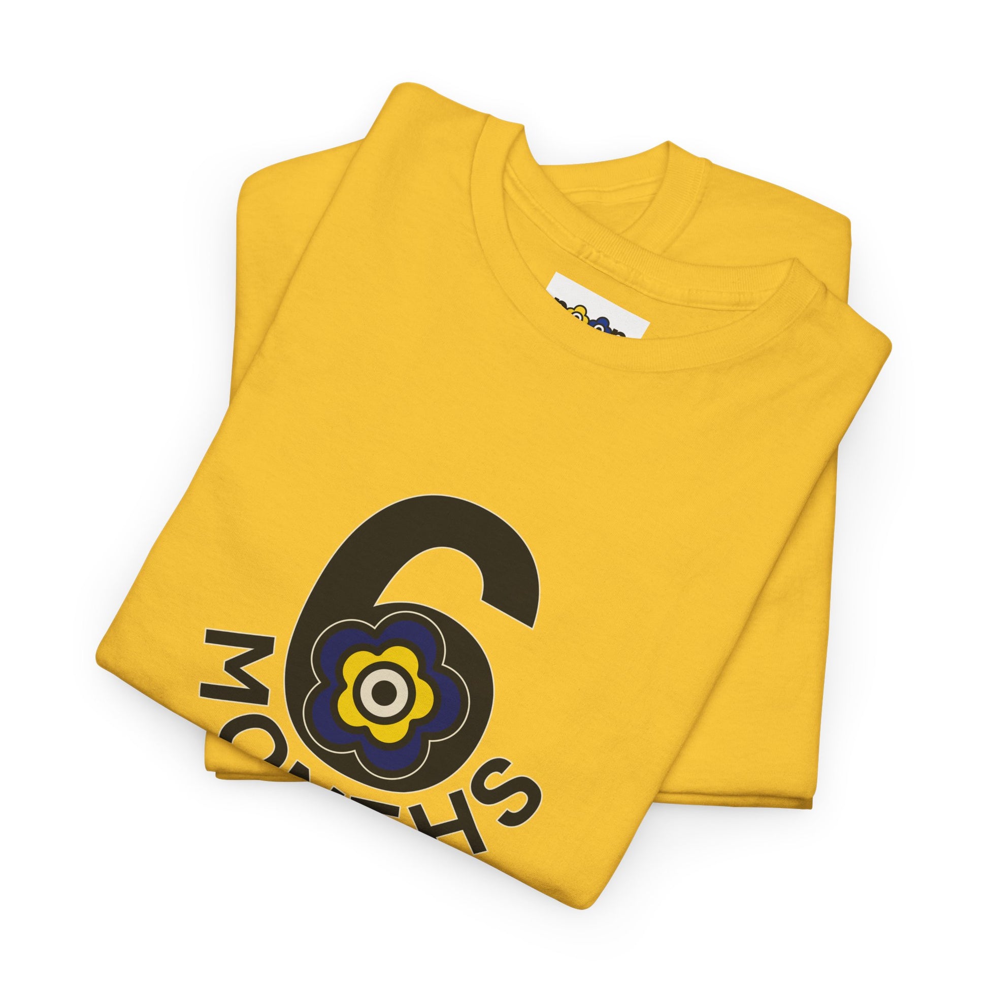 P🌺🌺P2Poppies 6 Months Sober – Motivational Recovery T-Shirt