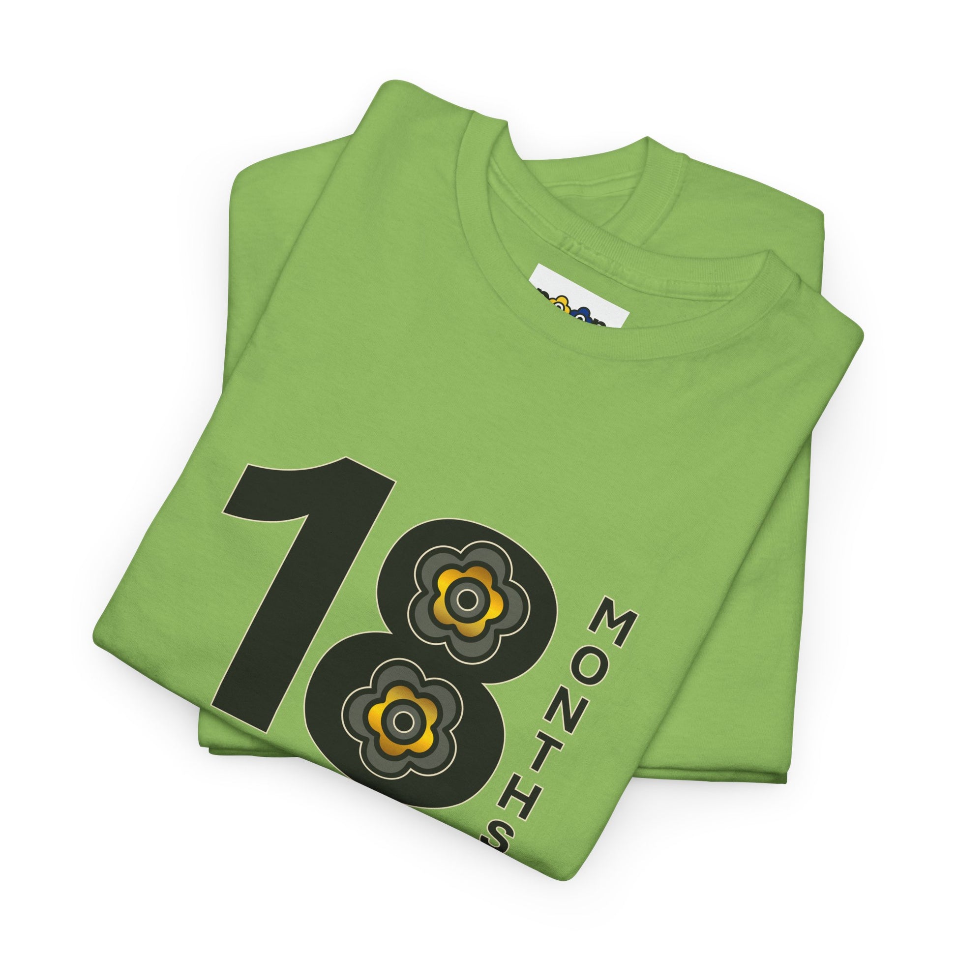 P🌺🌺P2Poppies 18 Months Sober – Motivational Recovery T-Shirt