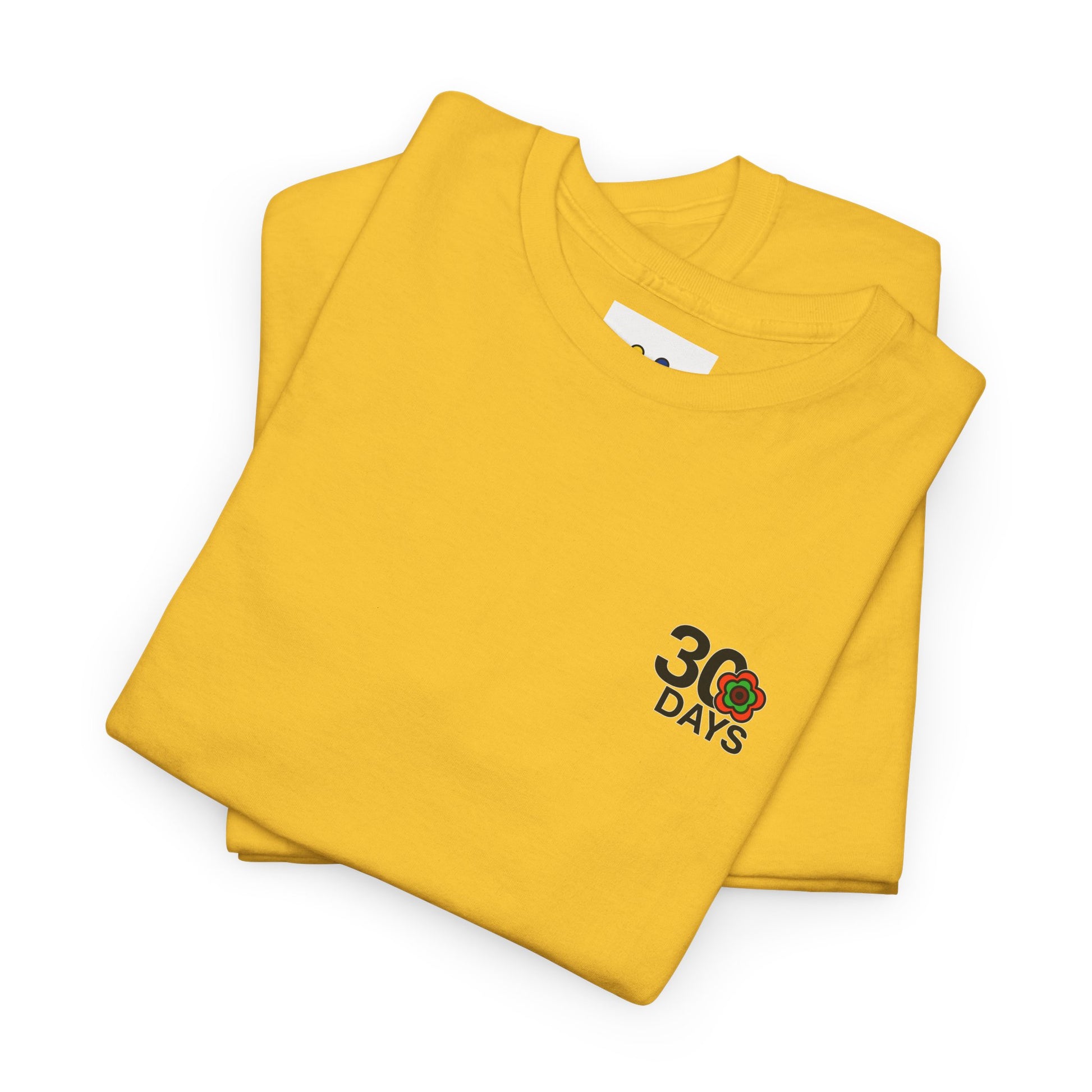 P🌺🌺P2Poppies 30 Days Sober – Motivational Recovery T-Shirt