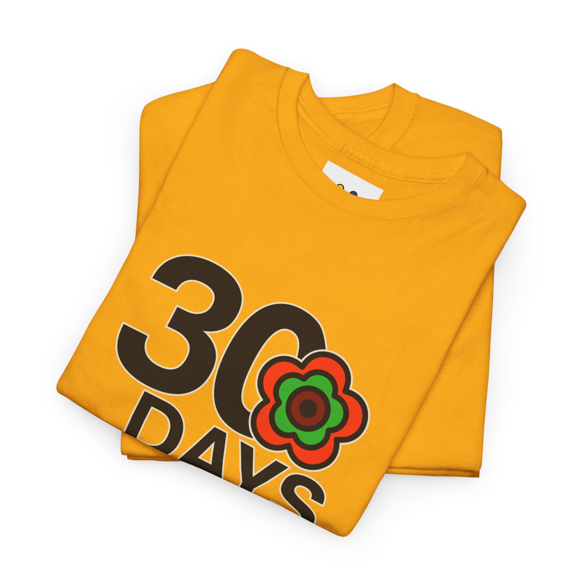 P🌺🌺P2Poppies 30 Days Sober – Motivational Recovery T-Shirt