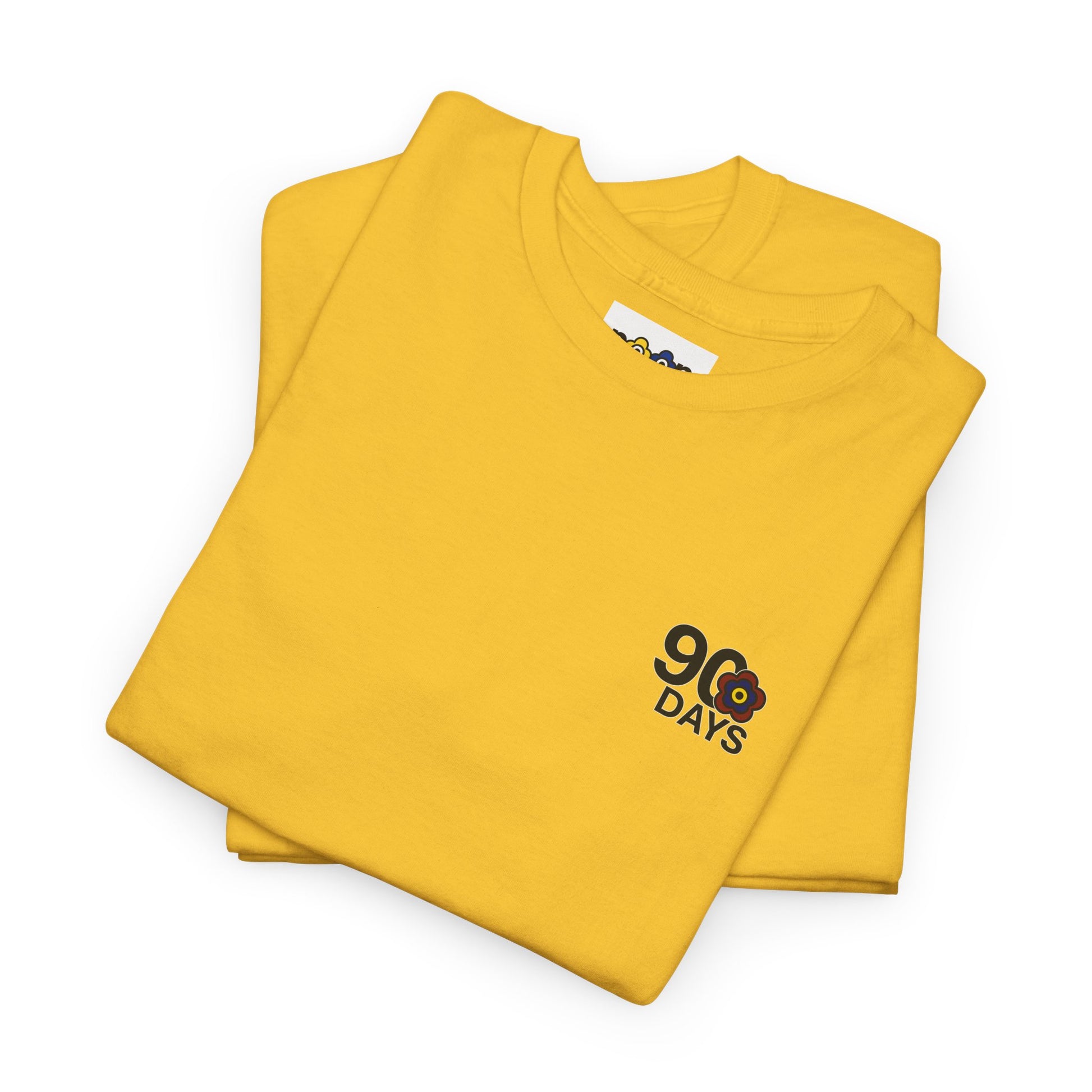 P🌺🌺P2Poppies 90 Days Sober – Motivational Recovery T-Shirt