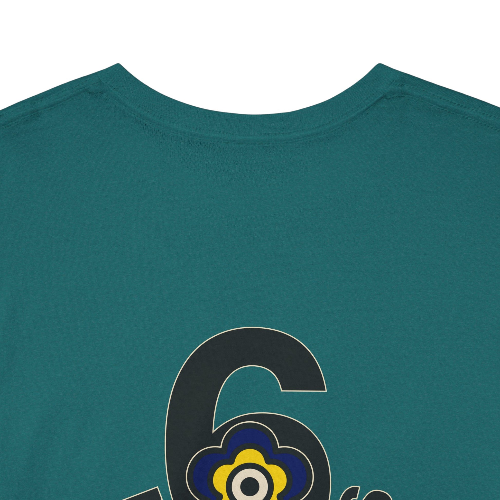 P🌺🌺P2Poppies 6 Months Sober – Motivational Recovery T-Shirt