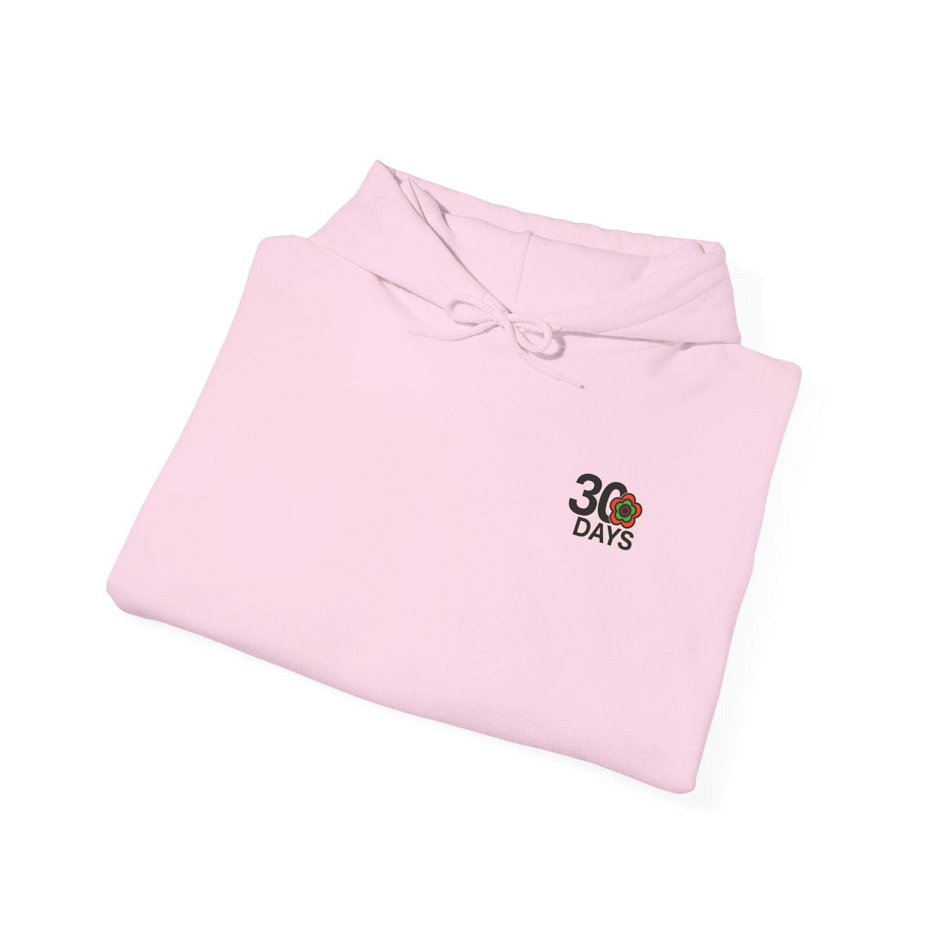 P🌺🌺P2Poppies 30 Days Sober Hoodie – Recovery Milestone Sweatshirt