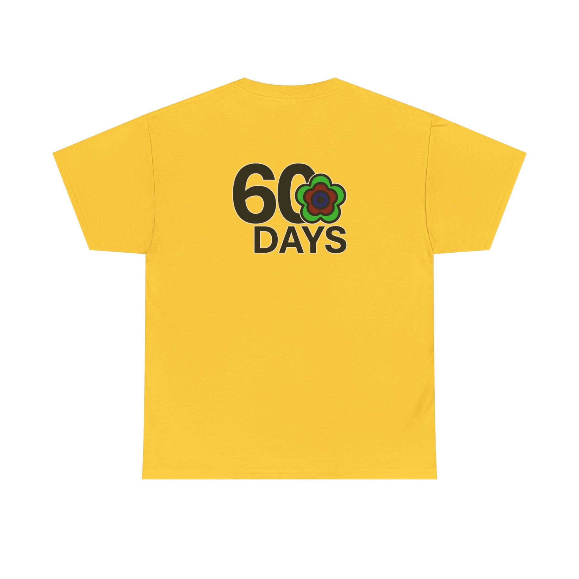 P🌺🌺P2Poppies 60 Days Sober – Motivational Recovery T-Shirt