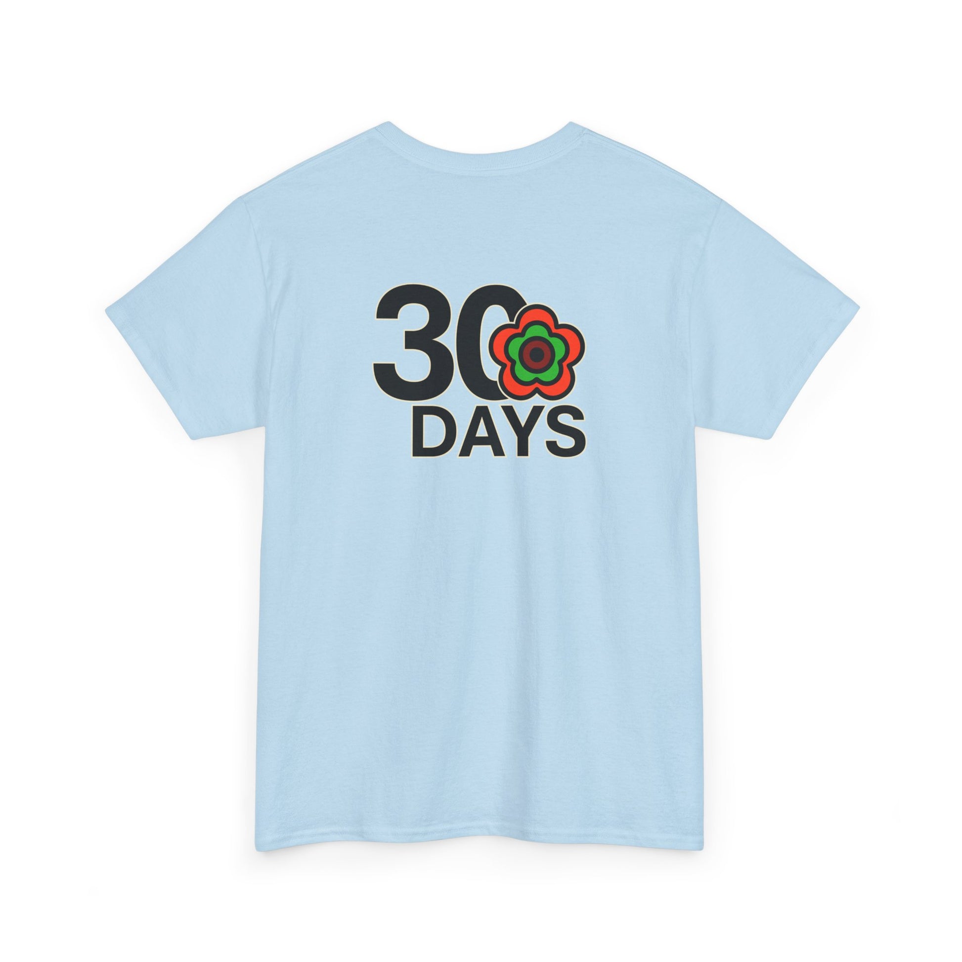 P🌺🌺P2Poppies 30 Days Sober – Motivational Recovery T-Shirt