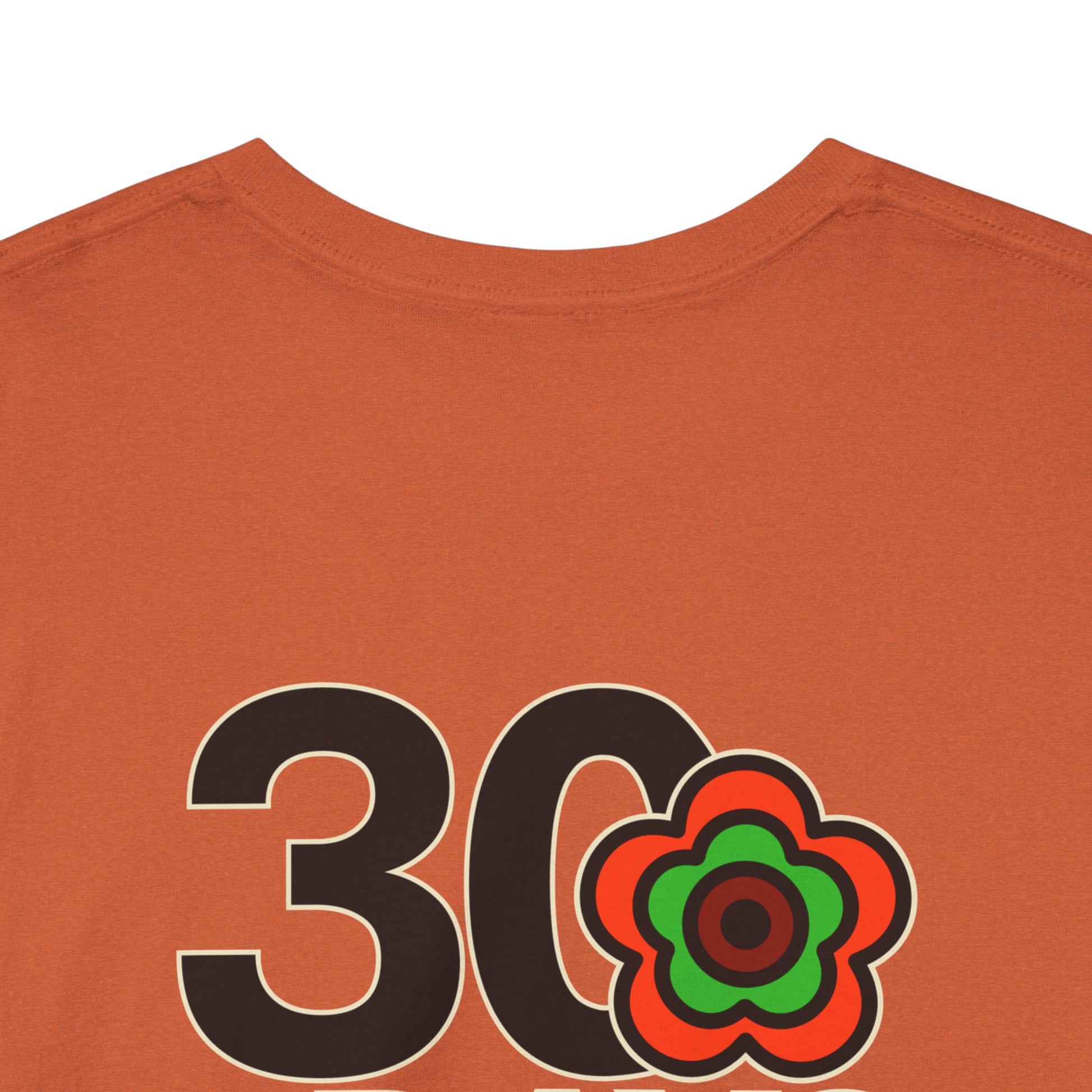 P🌺🌺P2Poppies 30 Days Sober – Motivational Recovery T-Shirt