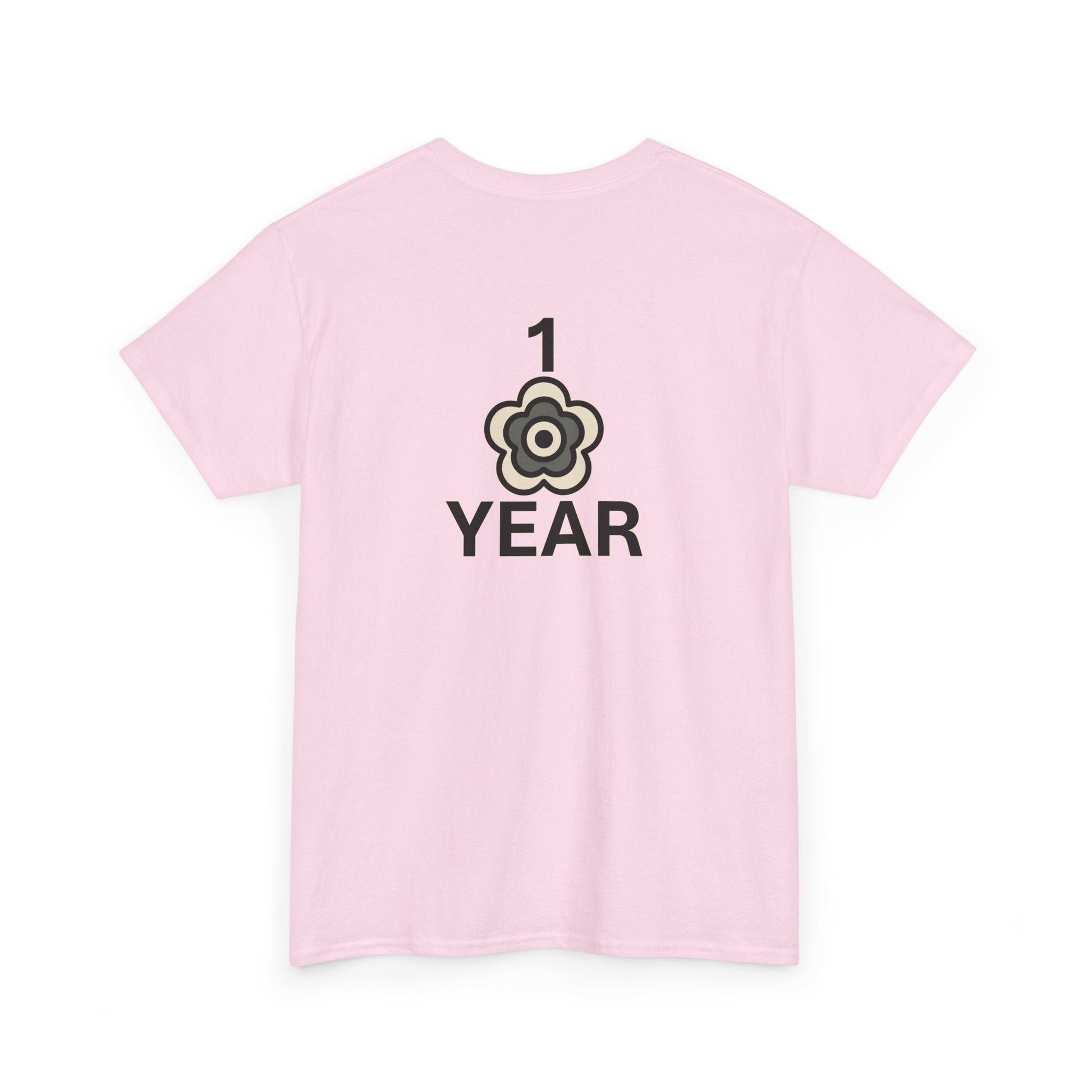 P🌺🌺P2Poppies 1 Year Sober – Motivational Recovery T-Shirt