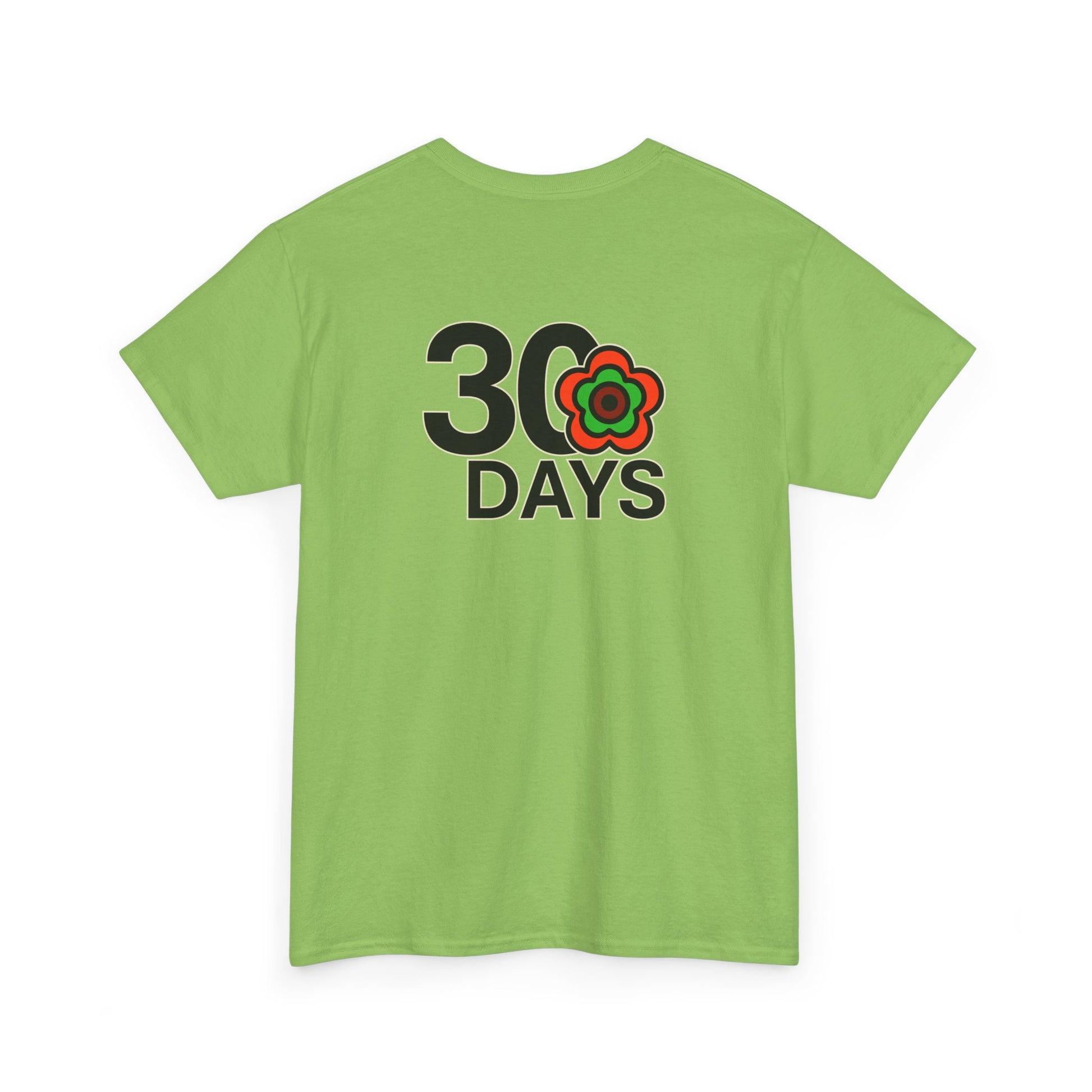 P🌺🌺P2Poppies 30 Days Sober – Motivational Recovery T-Shirt