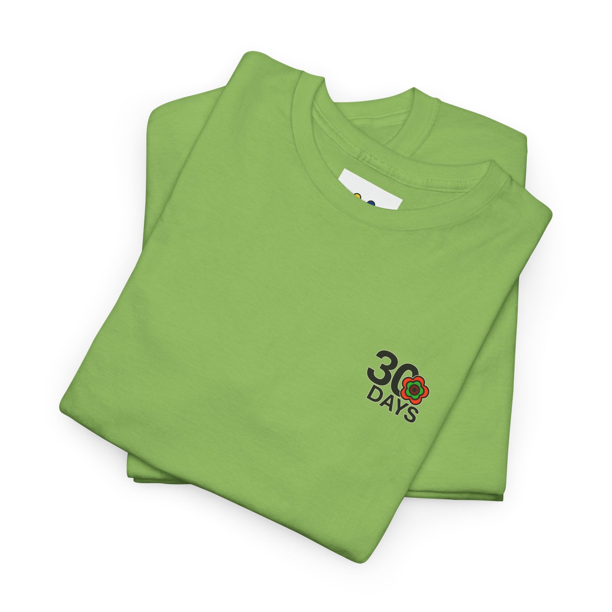 P🌺🌺P2Poppies 30 Days Sober – Motivational Recovery T-Shirt