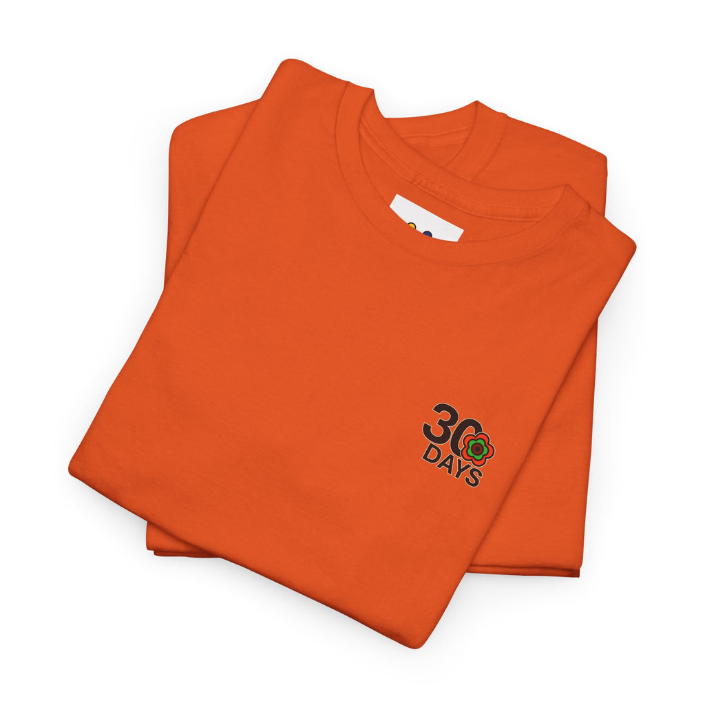 P🌺🌺P2Poppies 30 Days Sober – Motivational Recovery T-Shirt