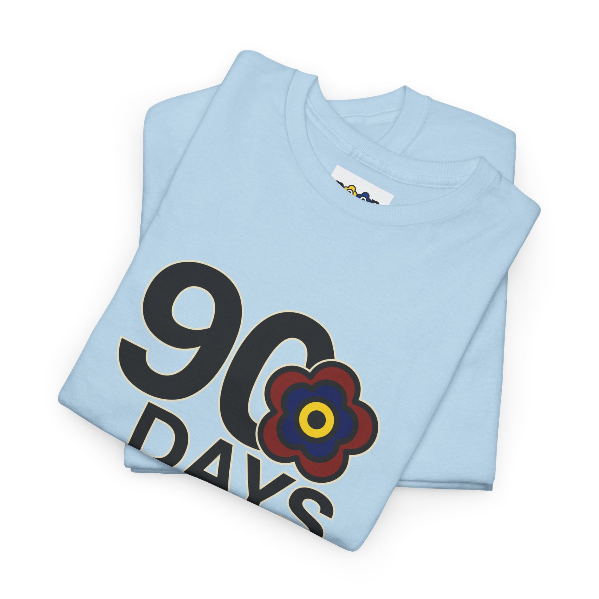 P🌺🌺P2Poppies 90 Days Sober – Motivational Recovery T-Shirt