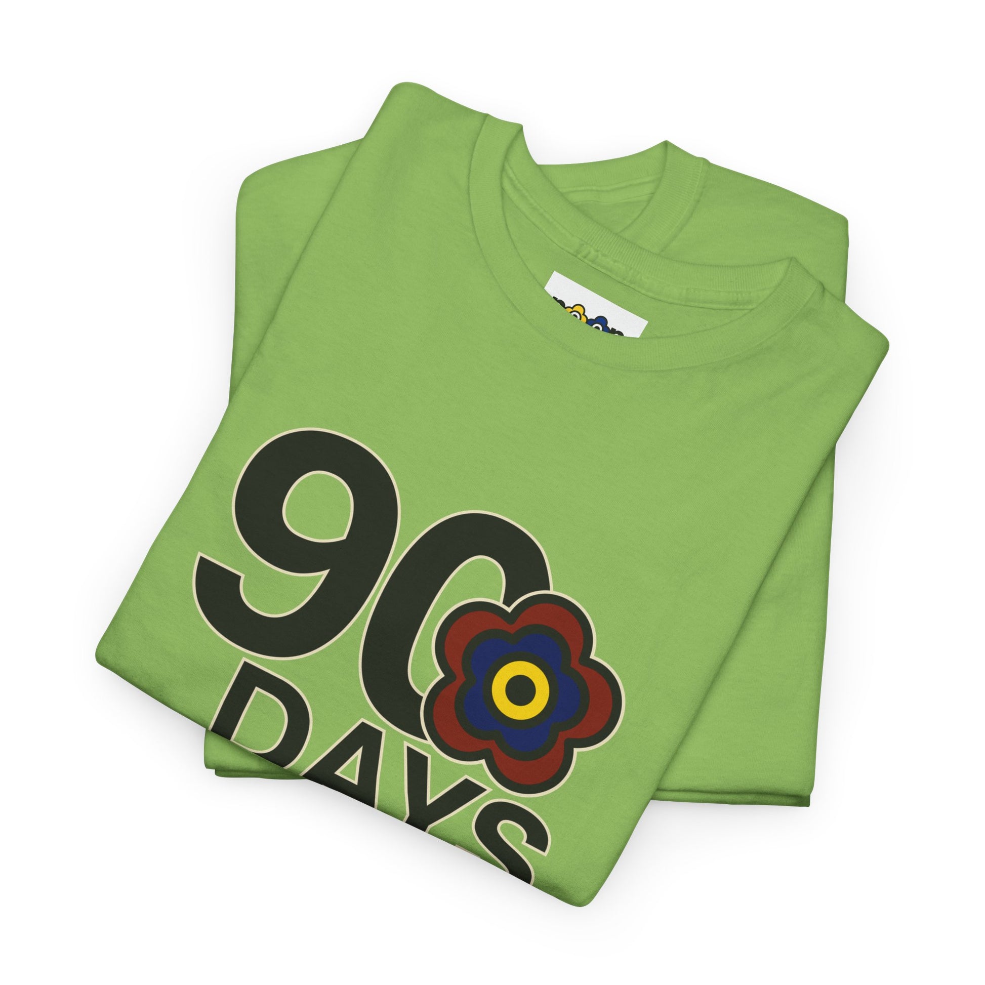 P🌺🌺P2Poppies 90 Days Sober – Motivational Recovery T-Shirt