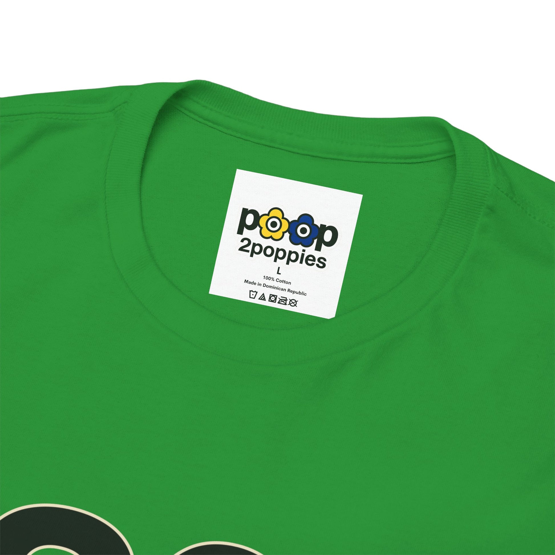 P🌺🌺P2Poppies 30 Days Sober – Motivational Recovery T-Shirt