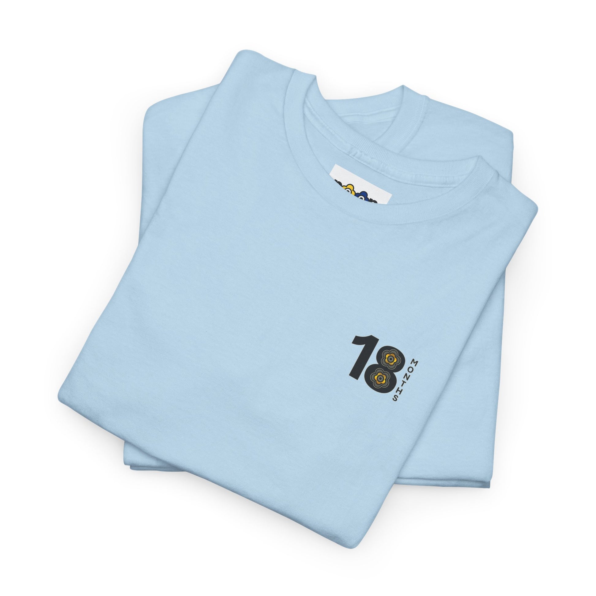 P🌺🌺P2Poppies 18 Months Sober – Motivational Recovery T-Shirt