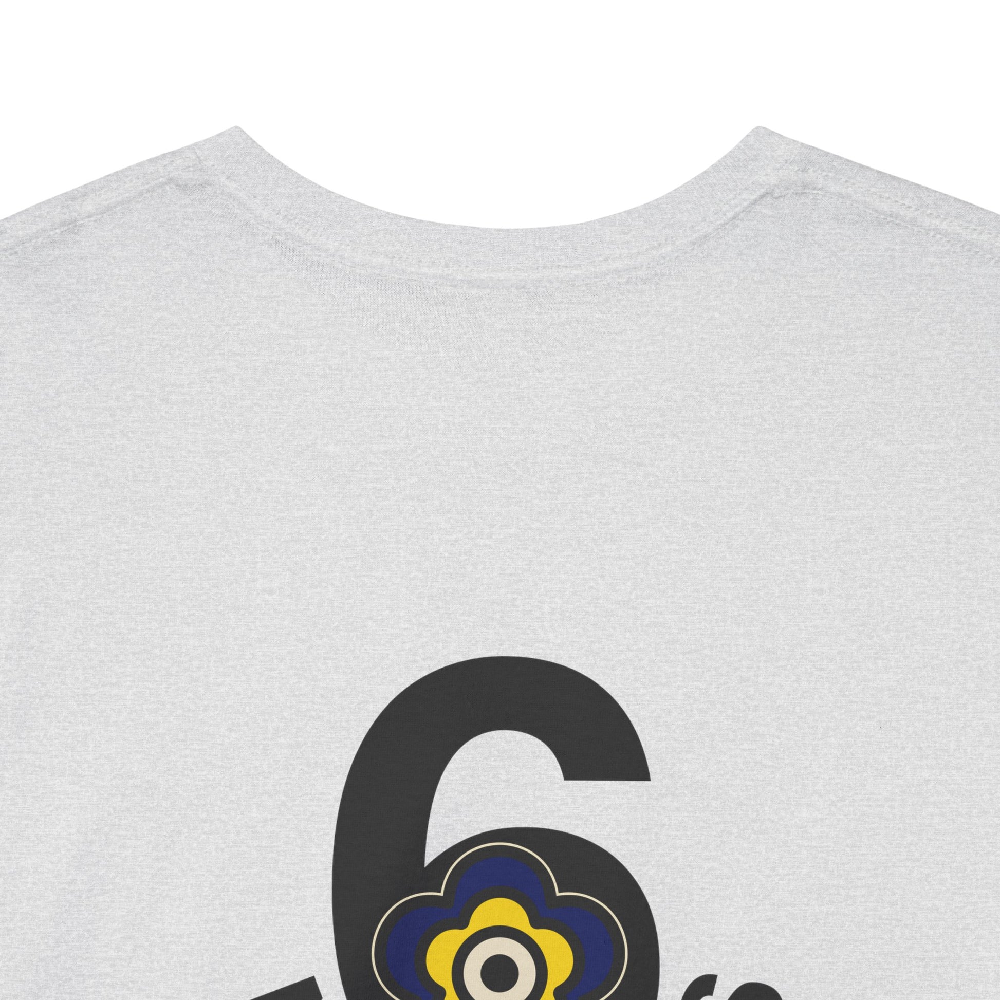 P🌺🌺P2Poppies 6 Months Sober – Motivational Recovery T-Shirt