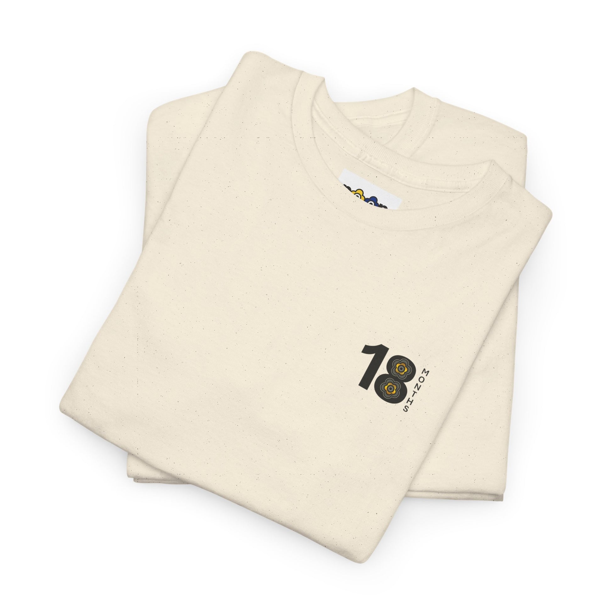 P🌺🌺P2Poppies 18 Months Sober – Motivational Recovery T-Shirt