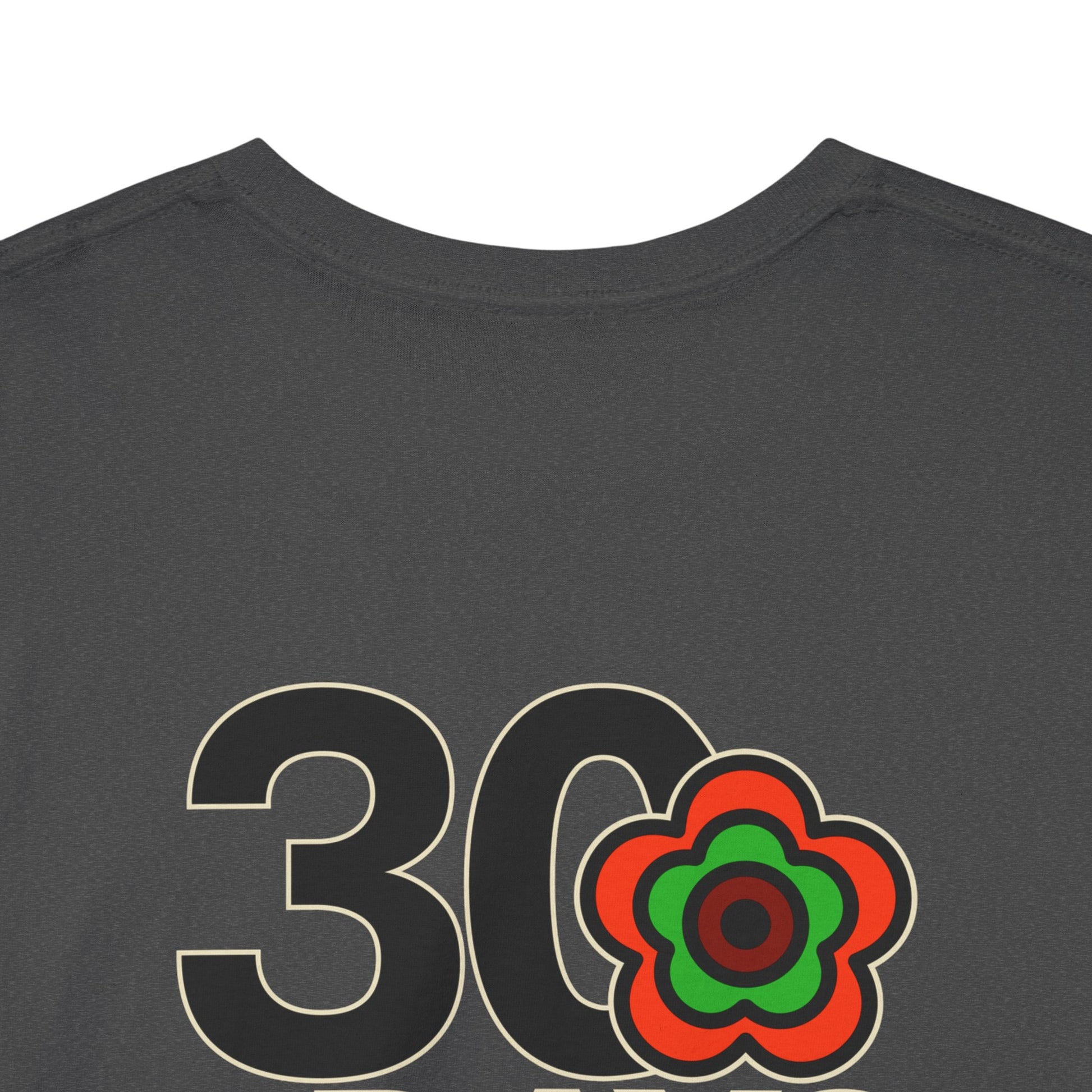 P🌺🌺P2Poppies 30 Days Sober – Motivational Recovery T-Shirt