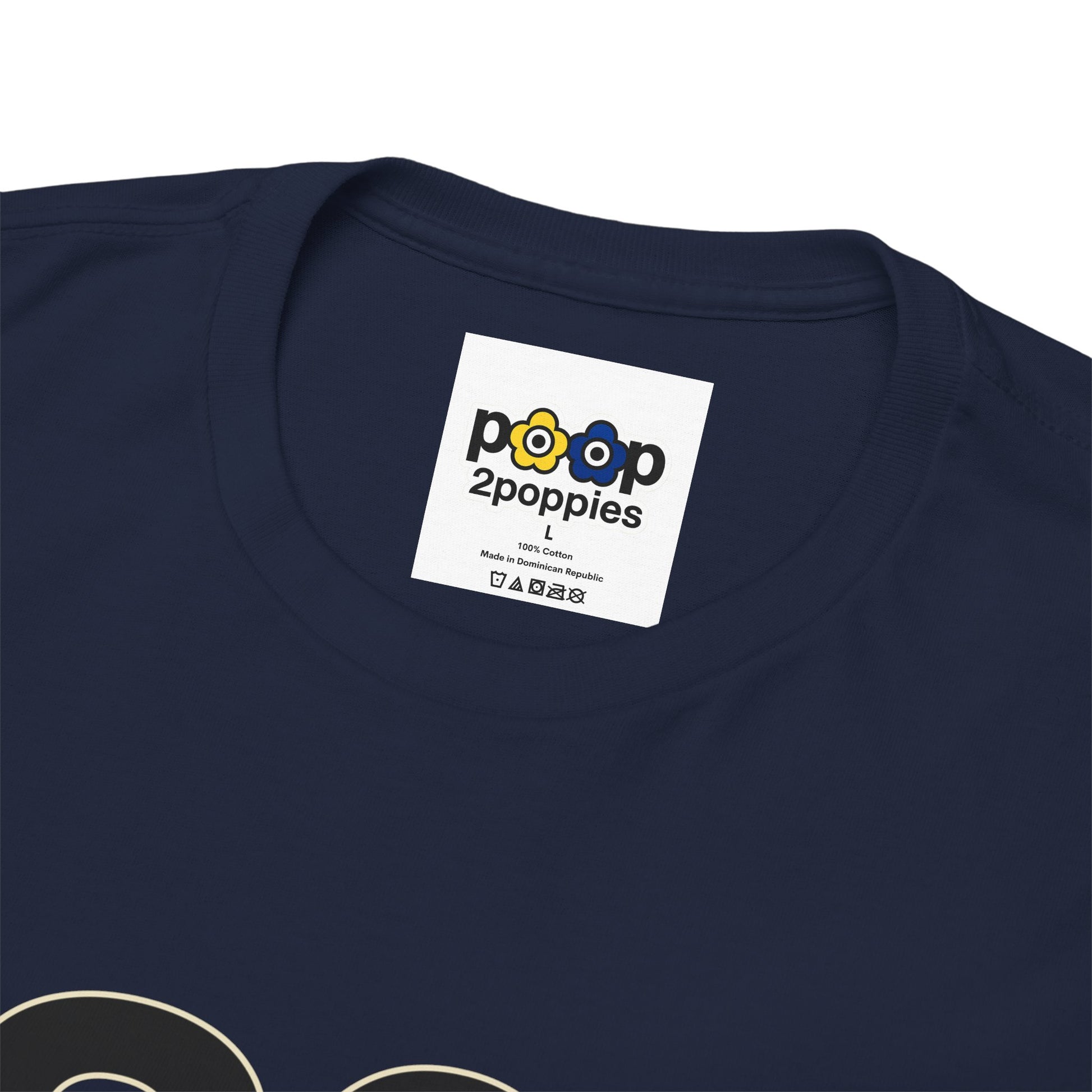 P🌺🌺P2Poppies 30 Days Sober – Motivational Recovery T-Shirt