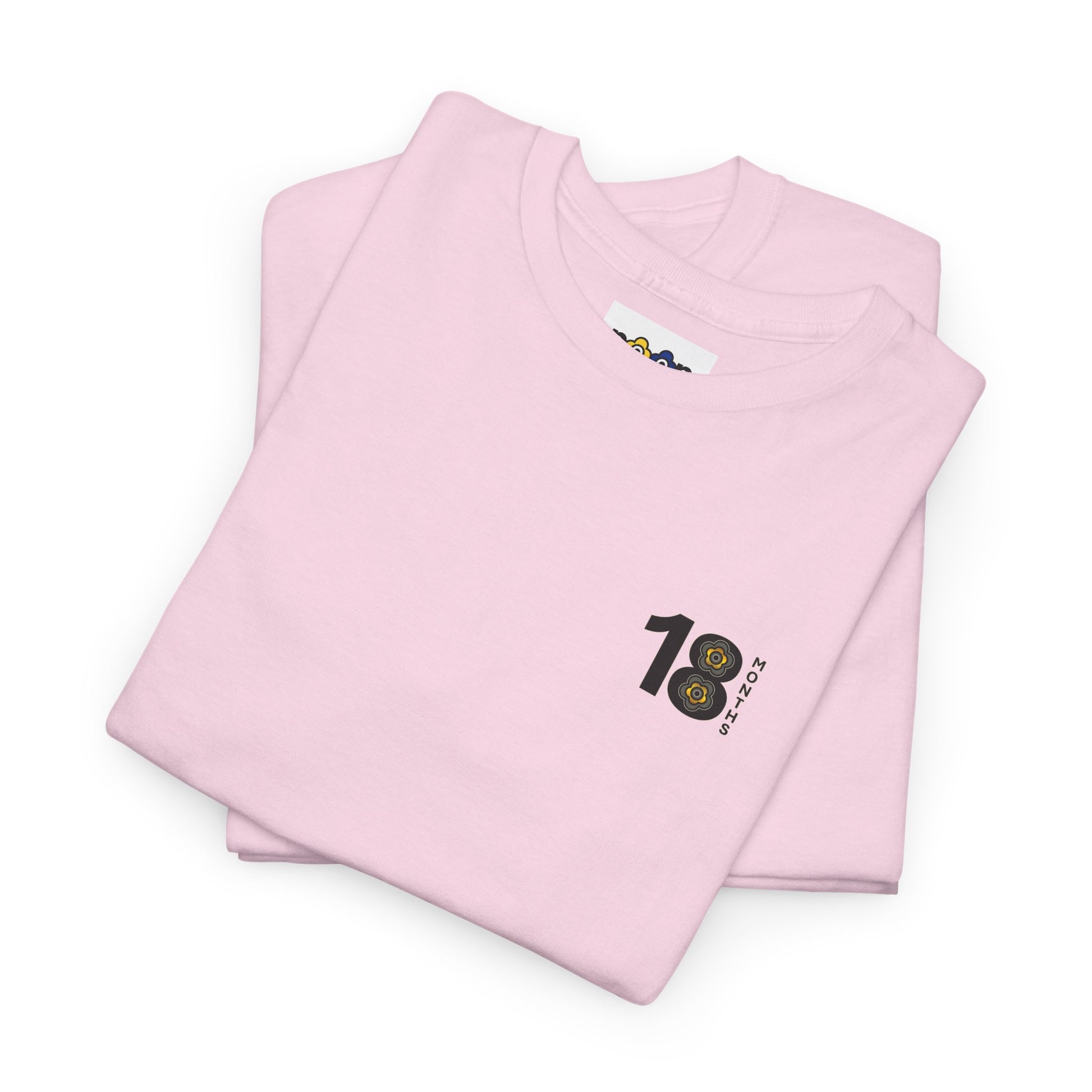 P🌺🌺P2Poppies 18 Months Sober – Motivational Recovery T-Shirt