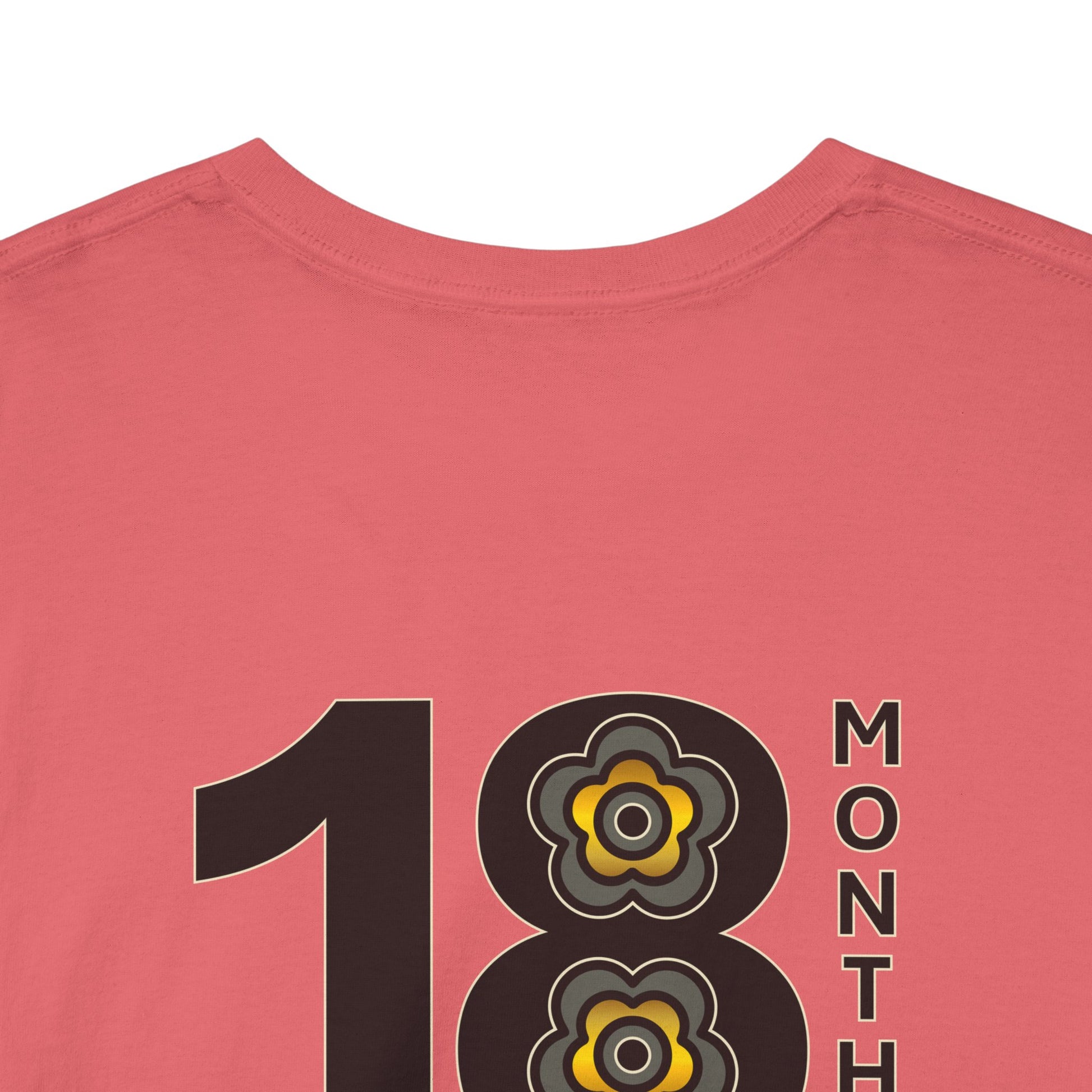 P🌺🌺P2Poppies 18 Months Sober – Motivational Recovery T-Shirt