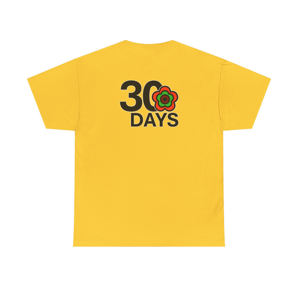 P🌺🌺P2Poppies 30 Days Sober – Motivational Recovery T-Shirt