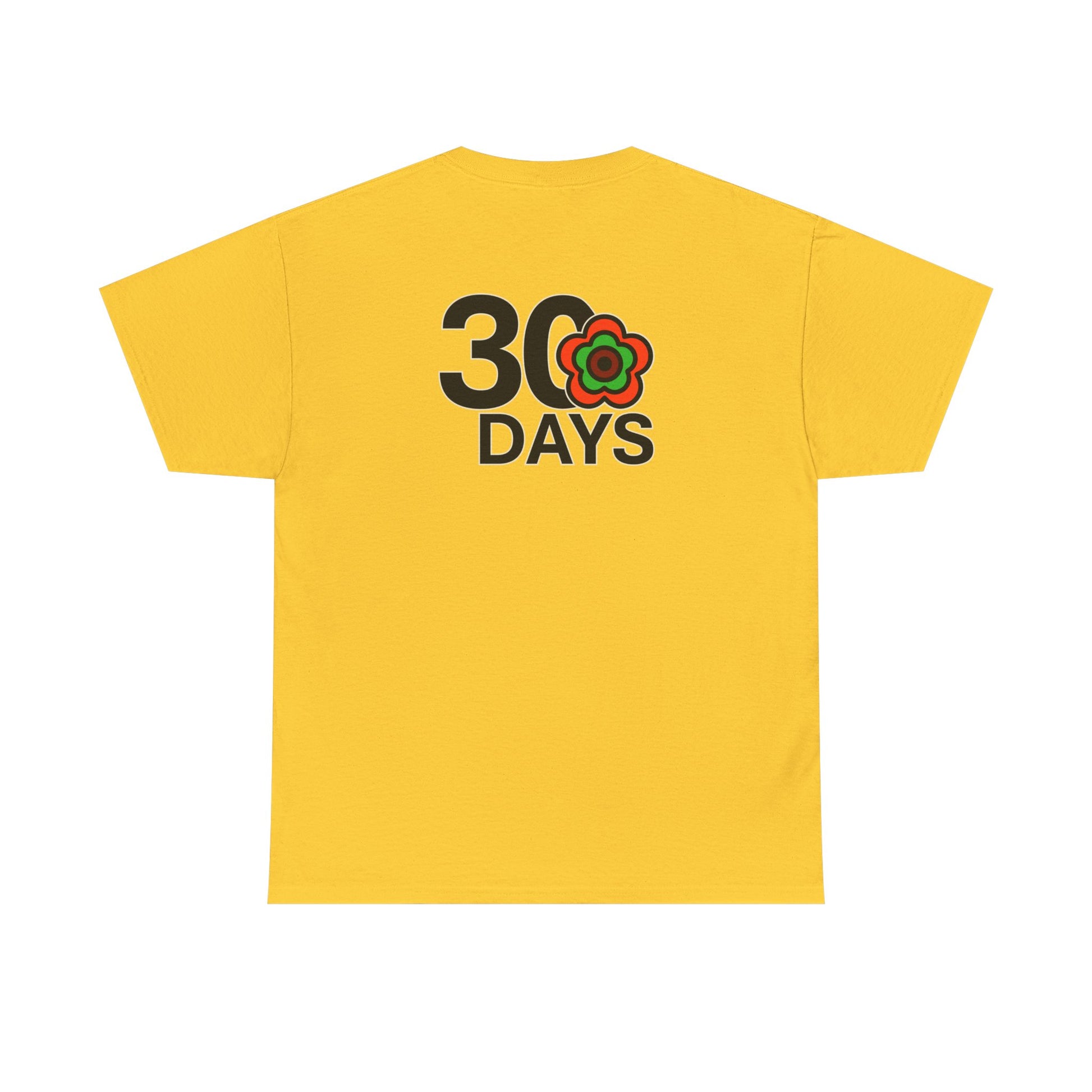 P🌺🌺P2Poppies 30 Days Sober – Motivational Recovery T-Shirt