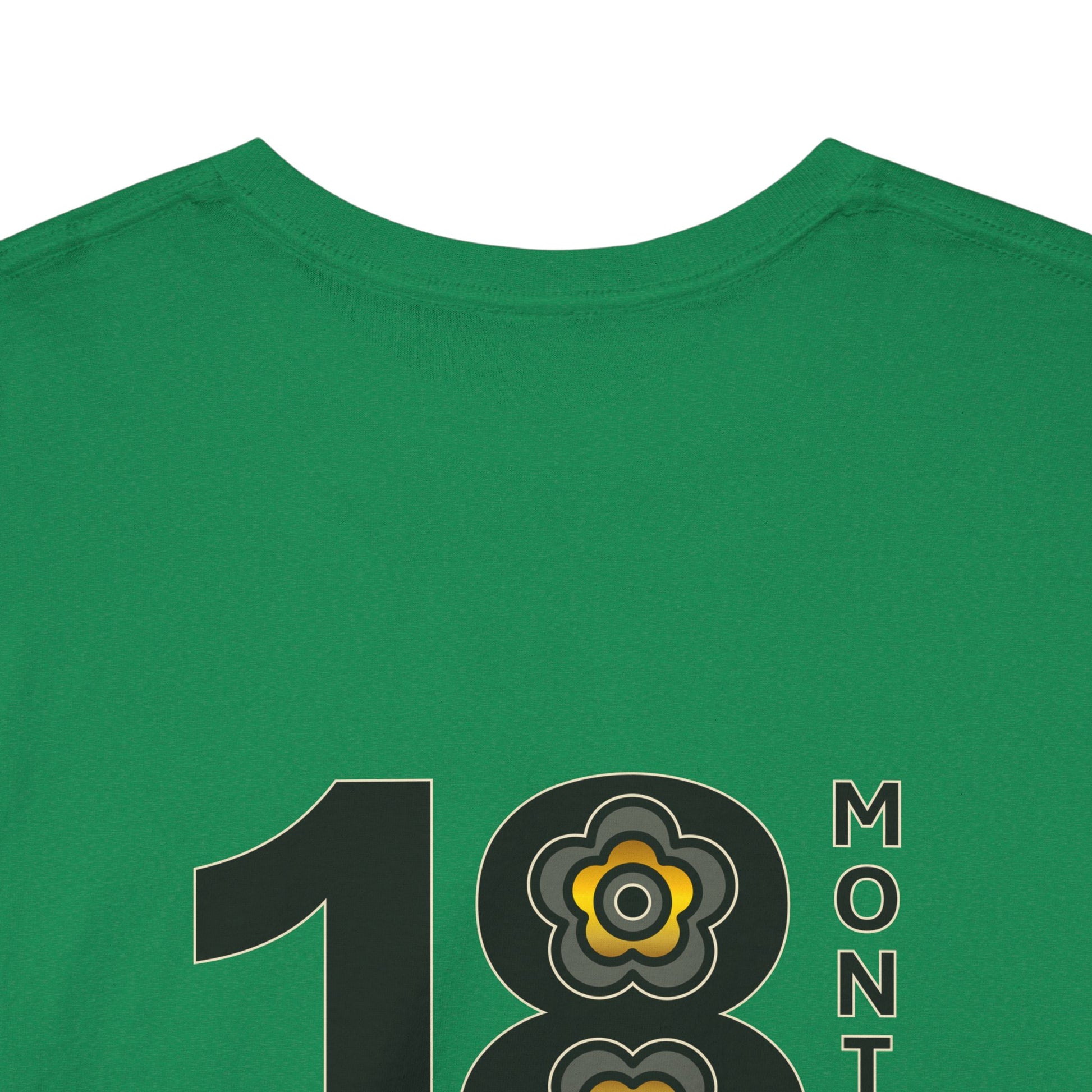 P🌺🌺P2Poppies 18 Months Sober – Motivational Recovery T-Shirt