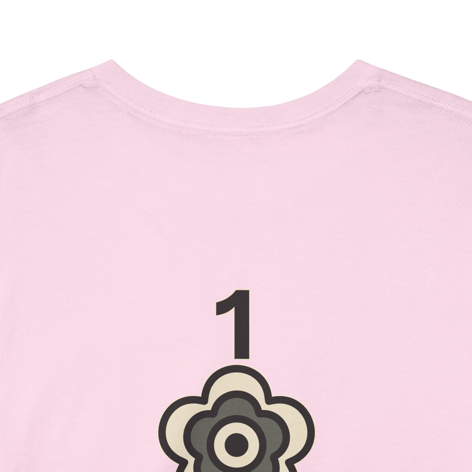 P🌺🌺P2Poppies 1 Year Sober – Motivational Recovery T-Shirt