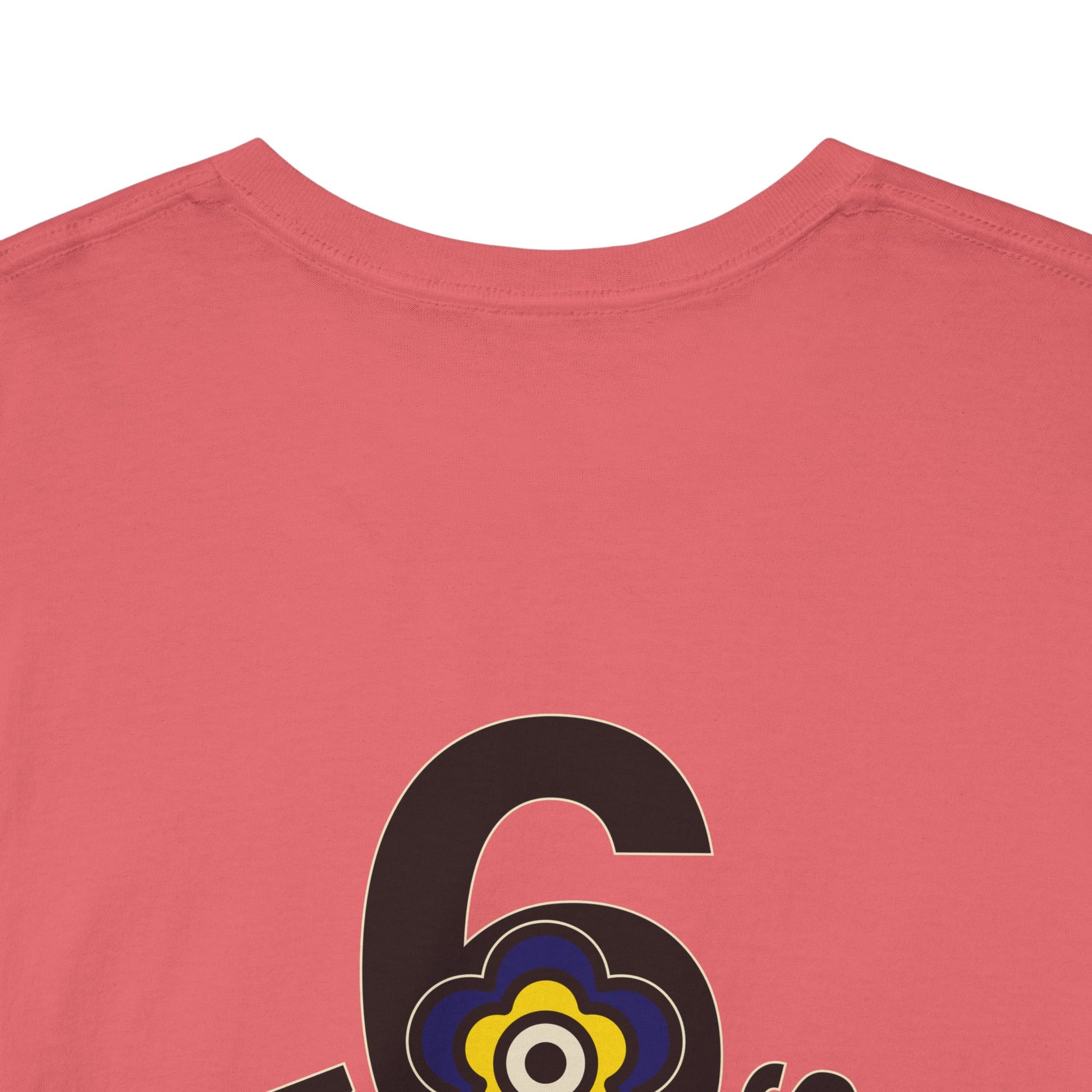 P🌺🌺P2Poppies 6 Months Sober – Motivational Recovery T-Shirt