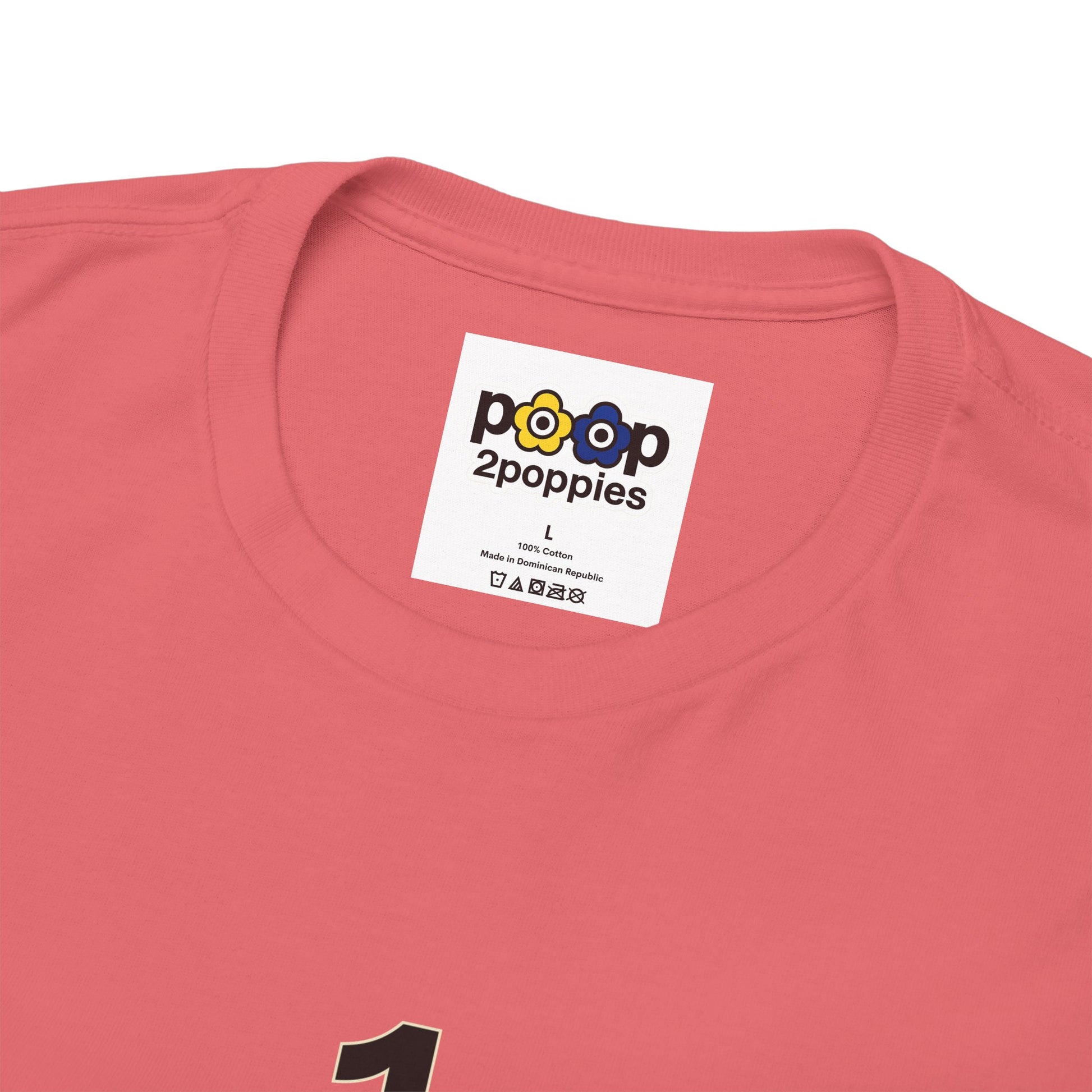 P🌺🌺P2Poppies 1 Year Sober – Motivational Recovery T-Shirt