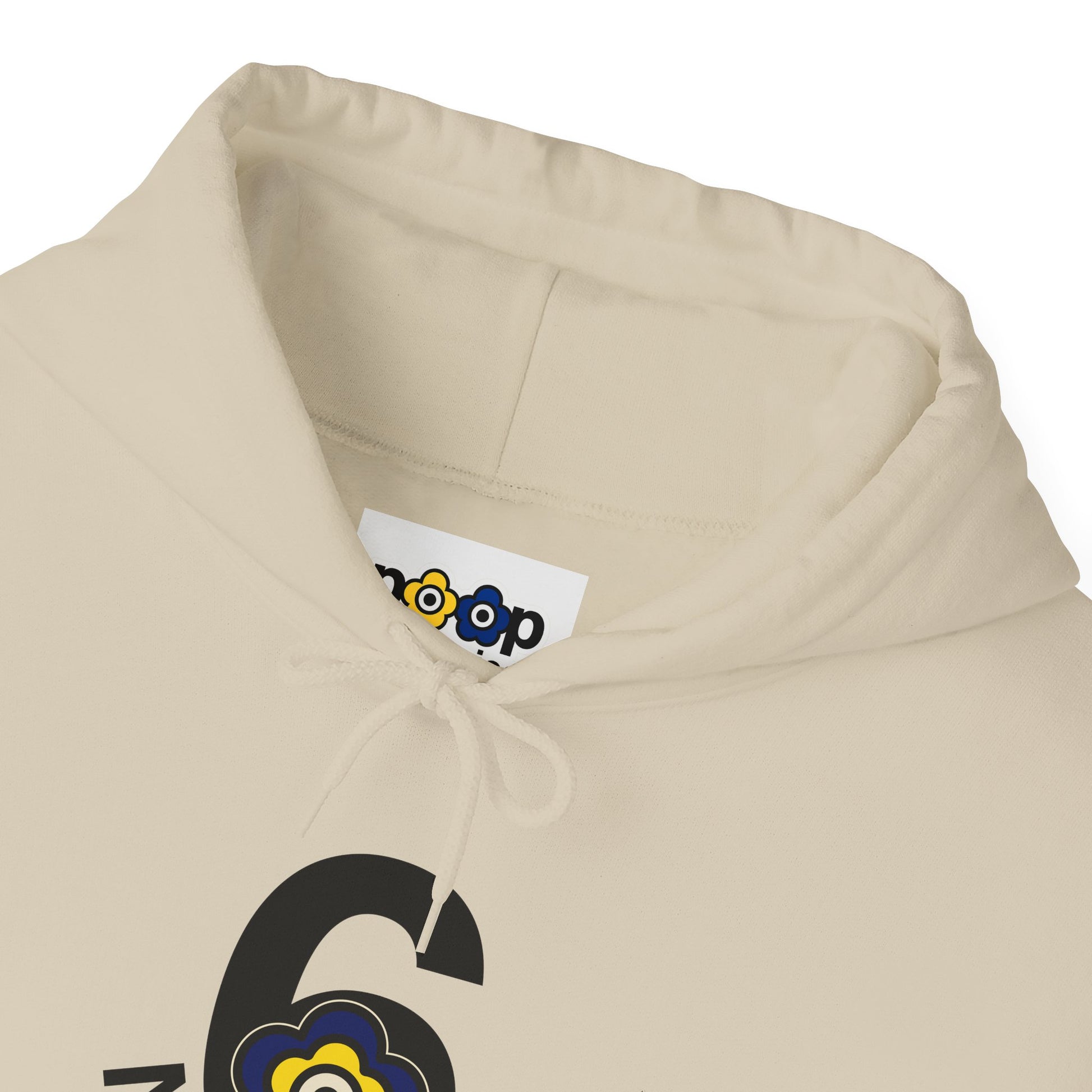 P🌺🌺P2Poppies 6 Months Sober Hoodie – Recovery Milestone Sweatshirt