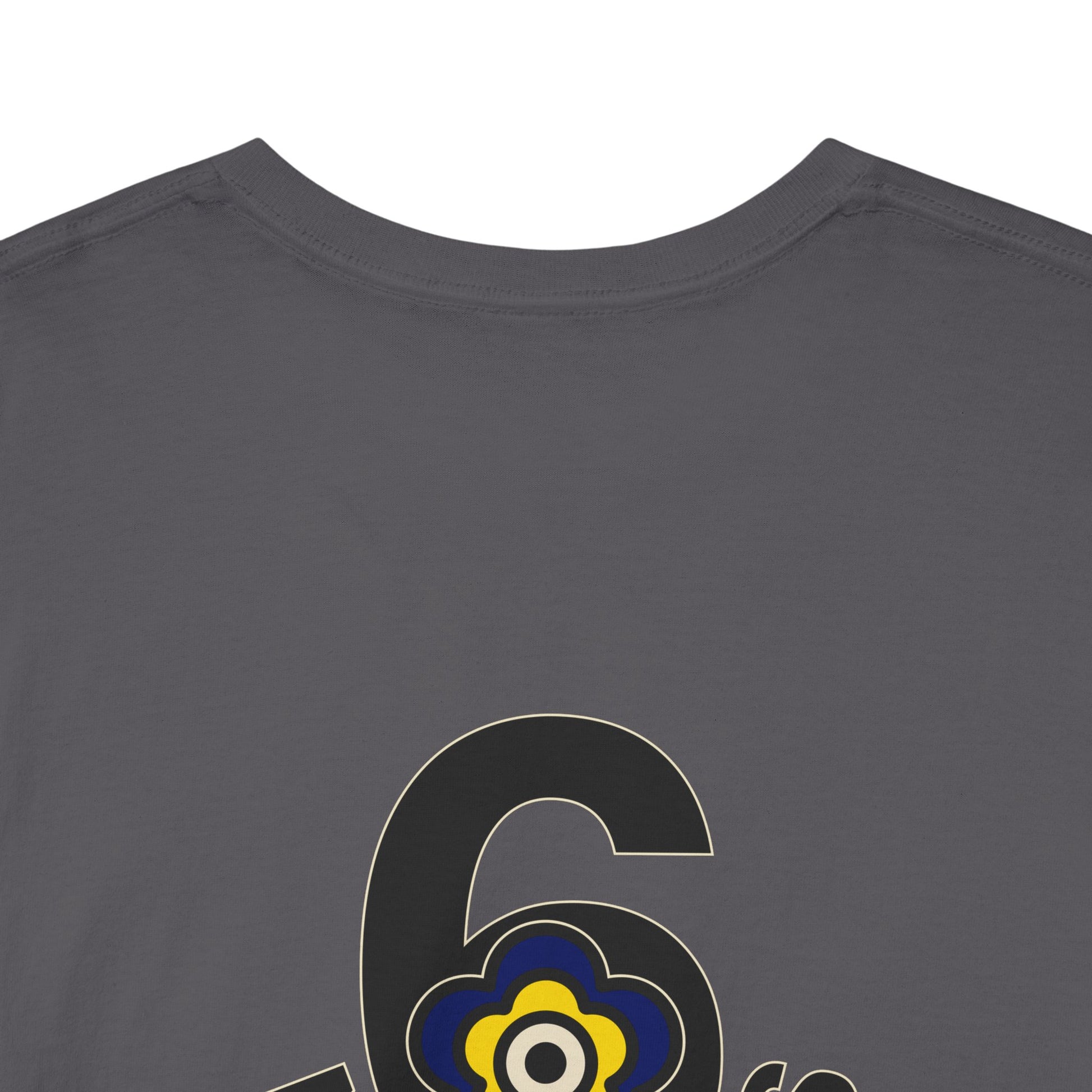 P🌺🌺P2Poppies 6 Months Sober – Motivational Recovery T-Shirt