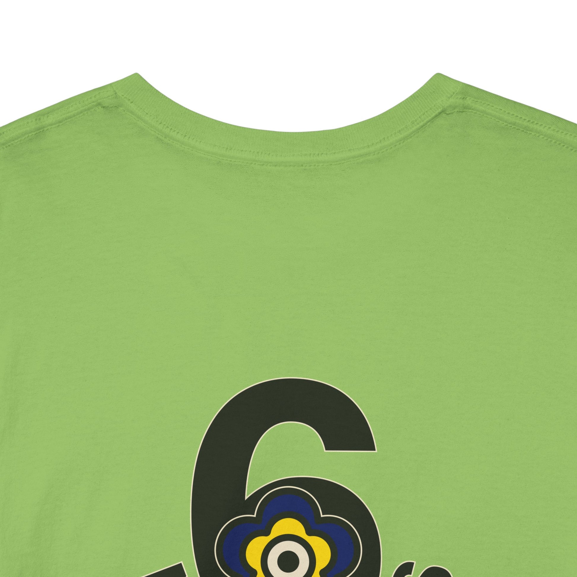 P🌺🌺P2Poppies 6 Months Sober – Motivational Recovery T-Shirt