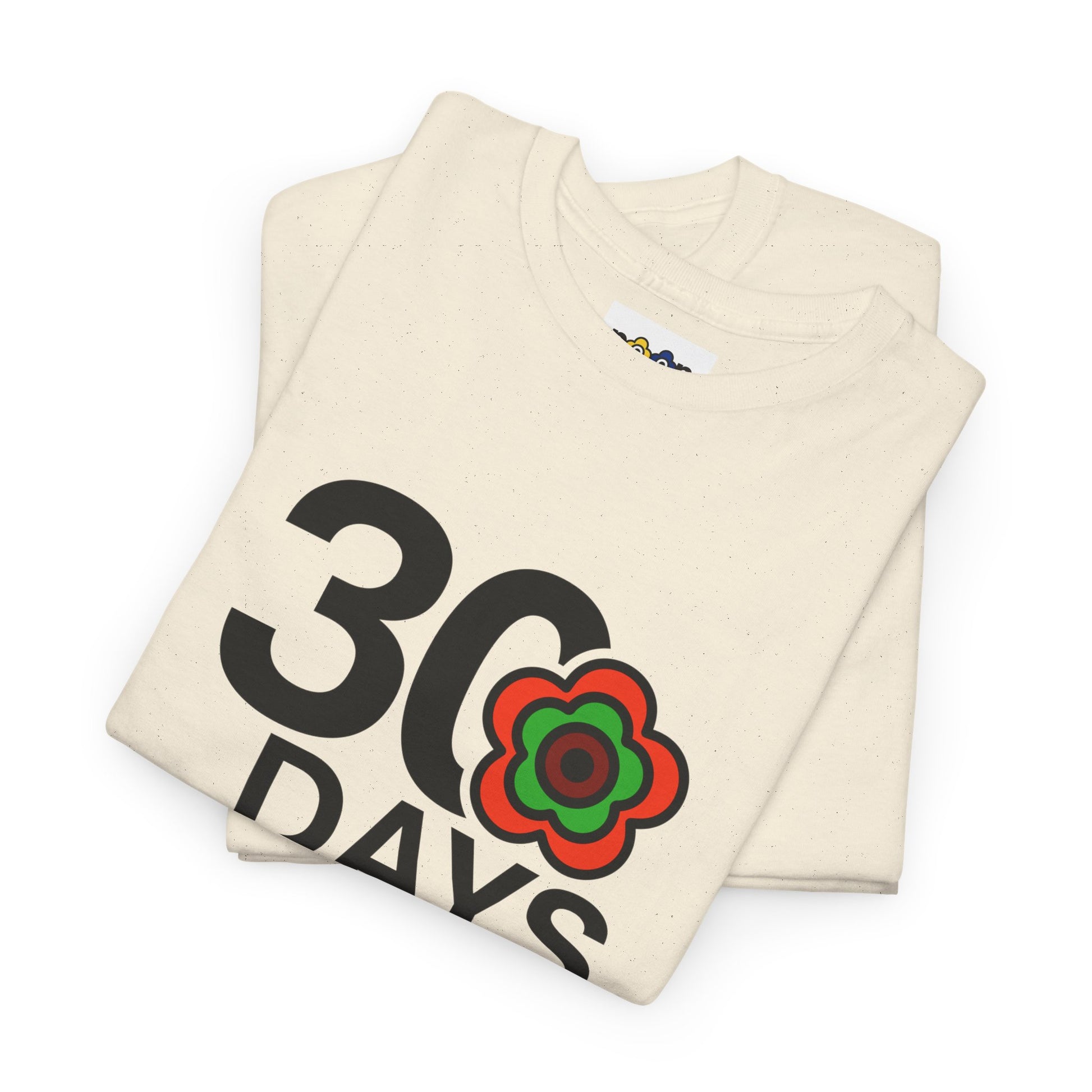 P🌺🌺P2Poppies 30 Days Sober – Motivational Recovery T-Shirt