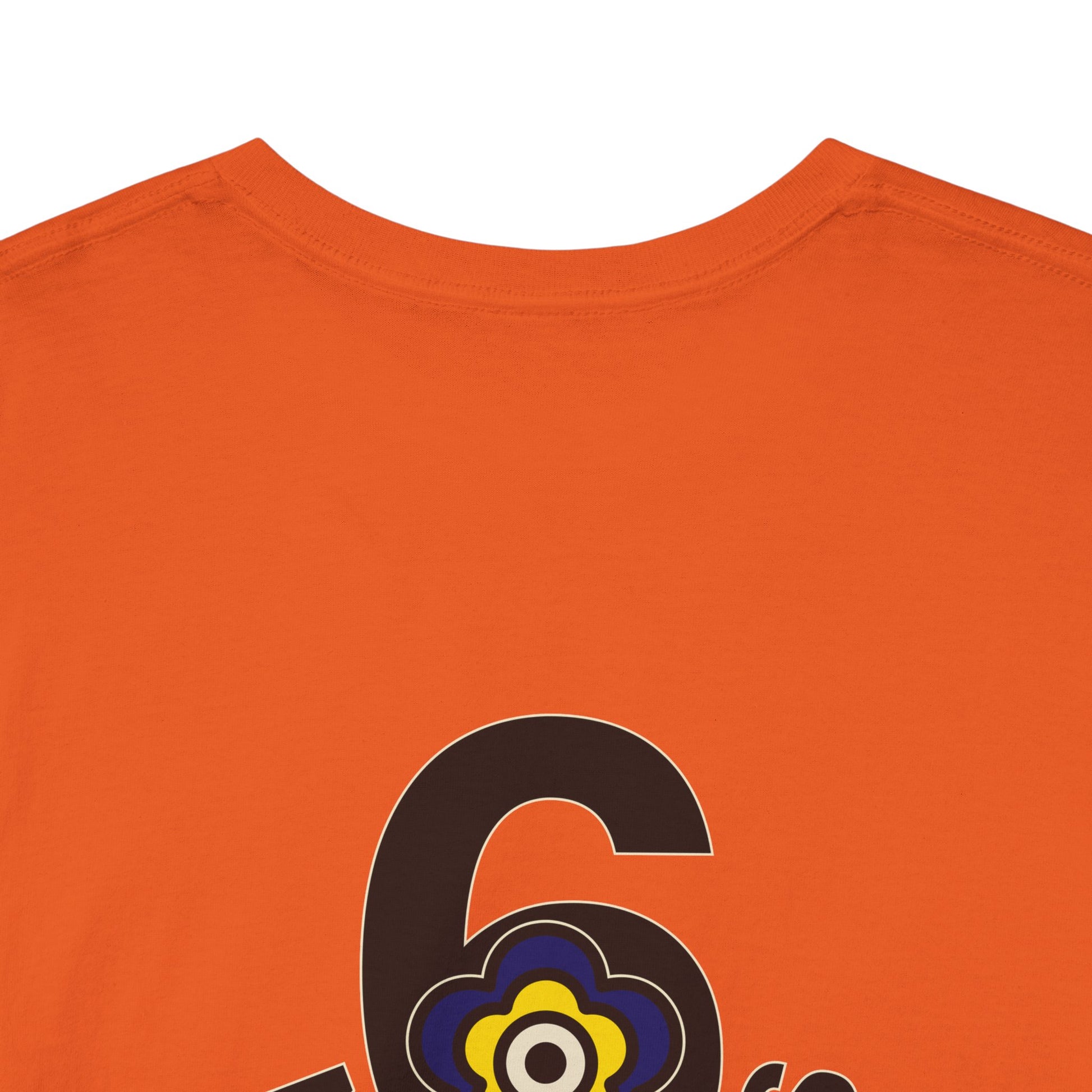 P🌺🌺P2Poppies 6 Months Sober – Motivational Recovery T-Shirt