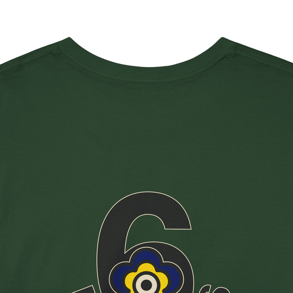 P🌺🌺P2Poppies 6 Months Sober – Motivational Recovery T-Shirt